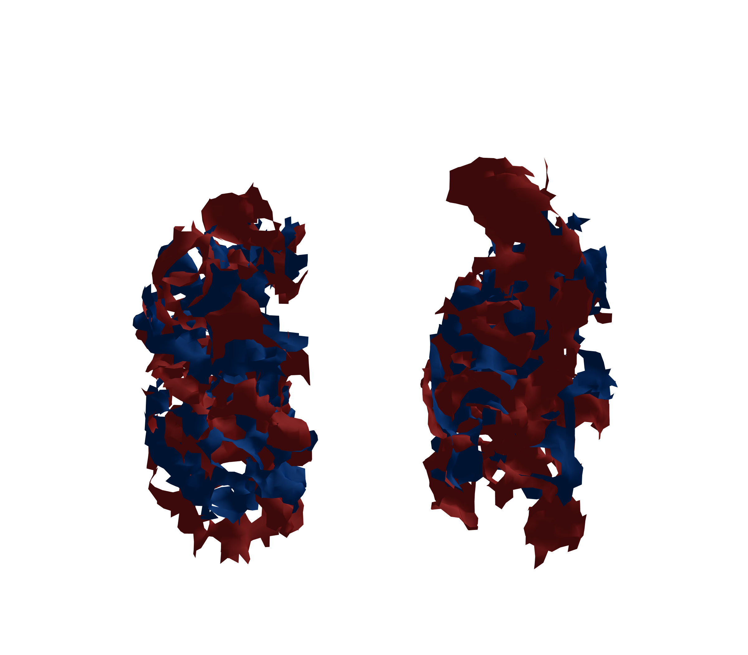 Surface Mesh - Front View