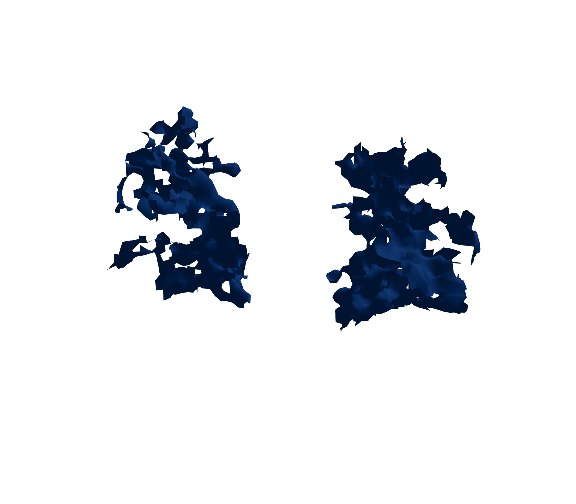 Surface Mesh (Inspiration) - Back View