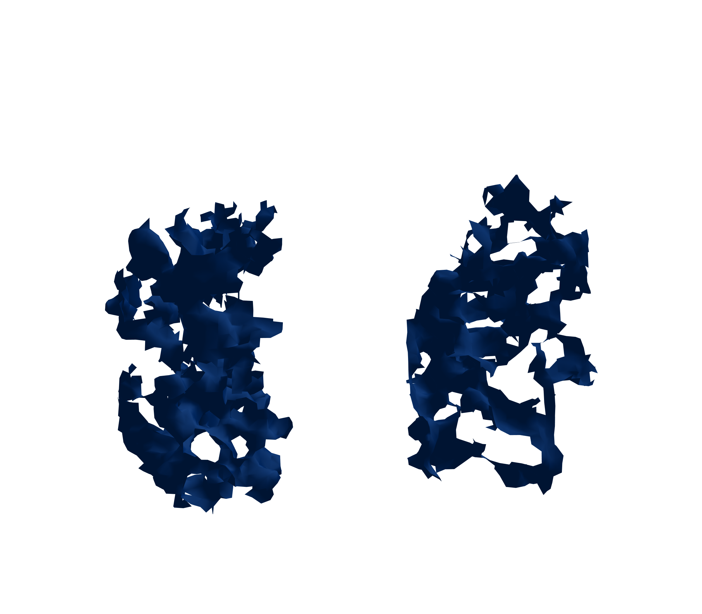 Surface Mesh (Inspiration) - Front View