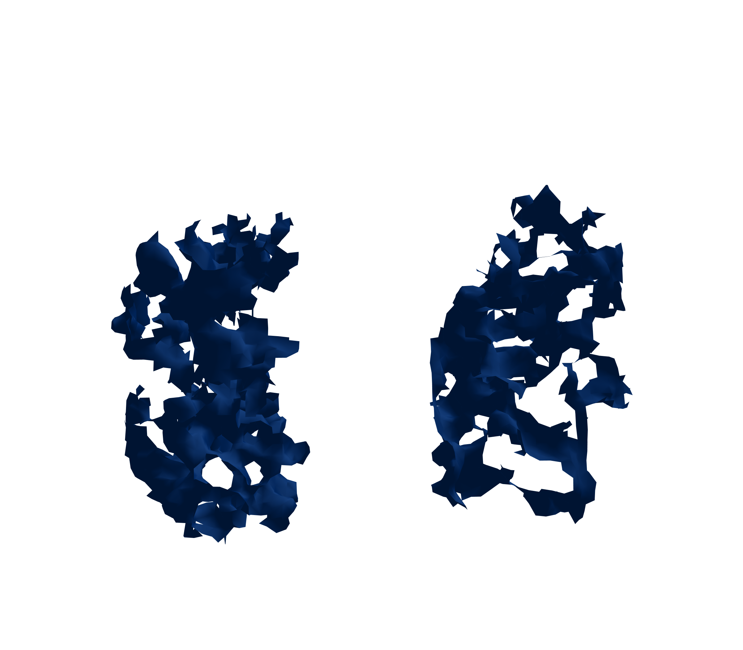 Surface Mesh (Inspiration) - Front View