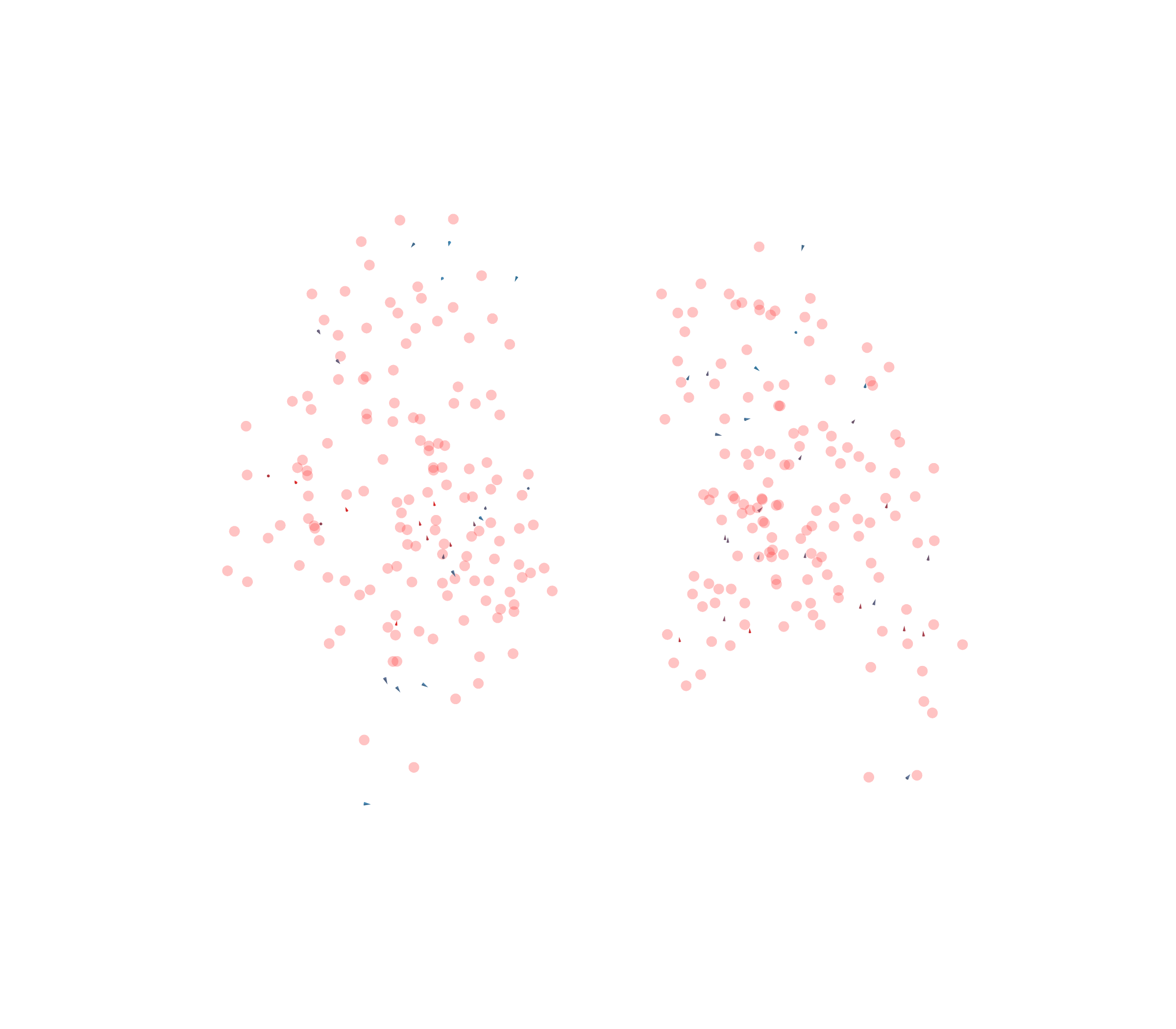 Displacement Vectors - Back View
