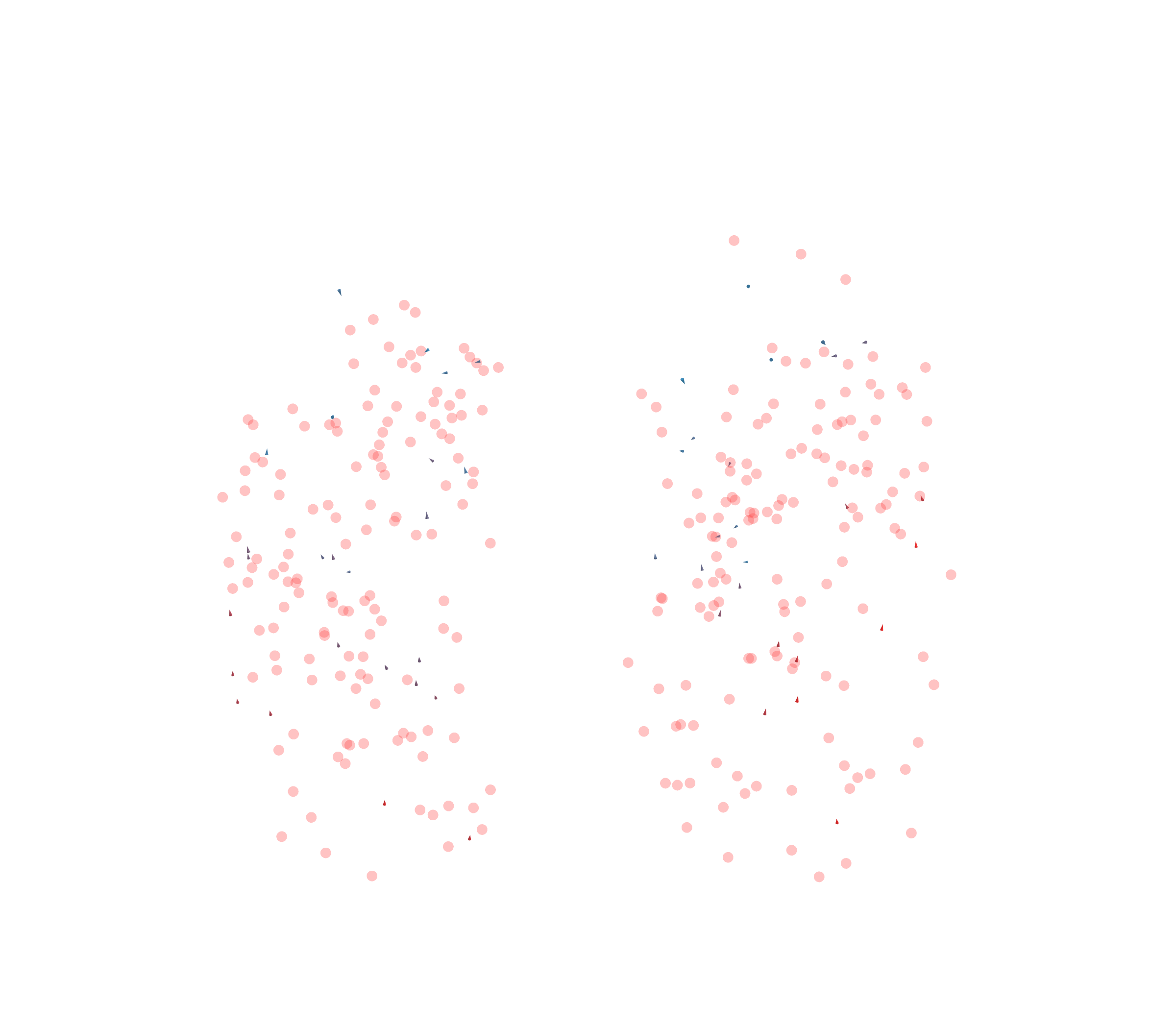 Displacement Vectors - Front View