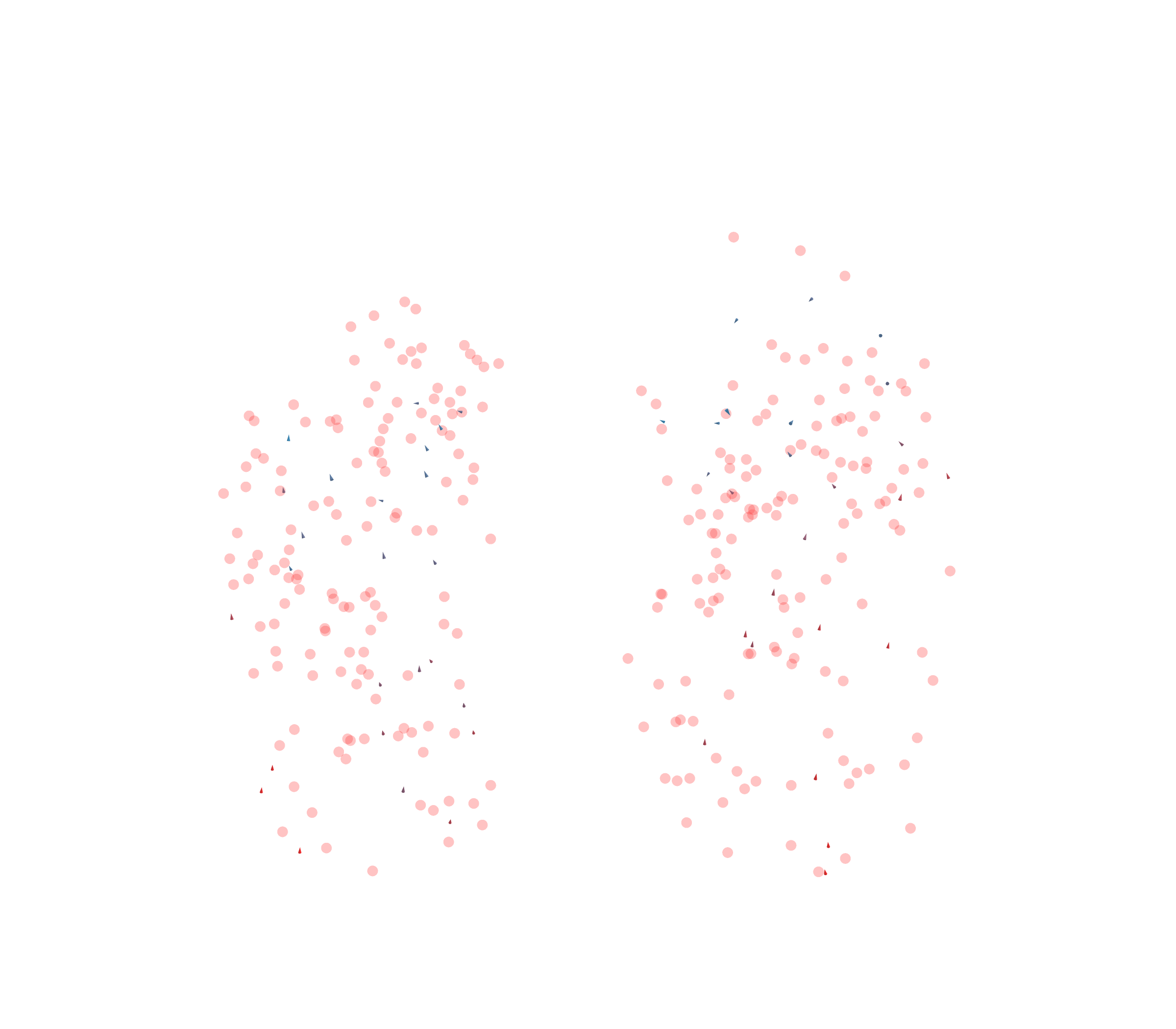Displacement Vectors - Front View