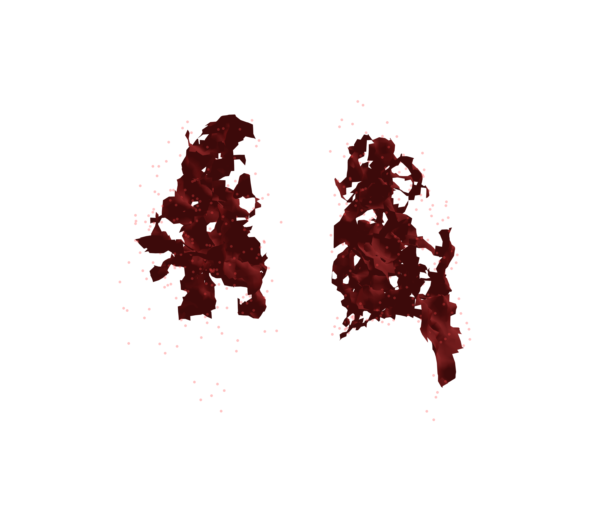 Combined Visualization (Expiration) - Back View