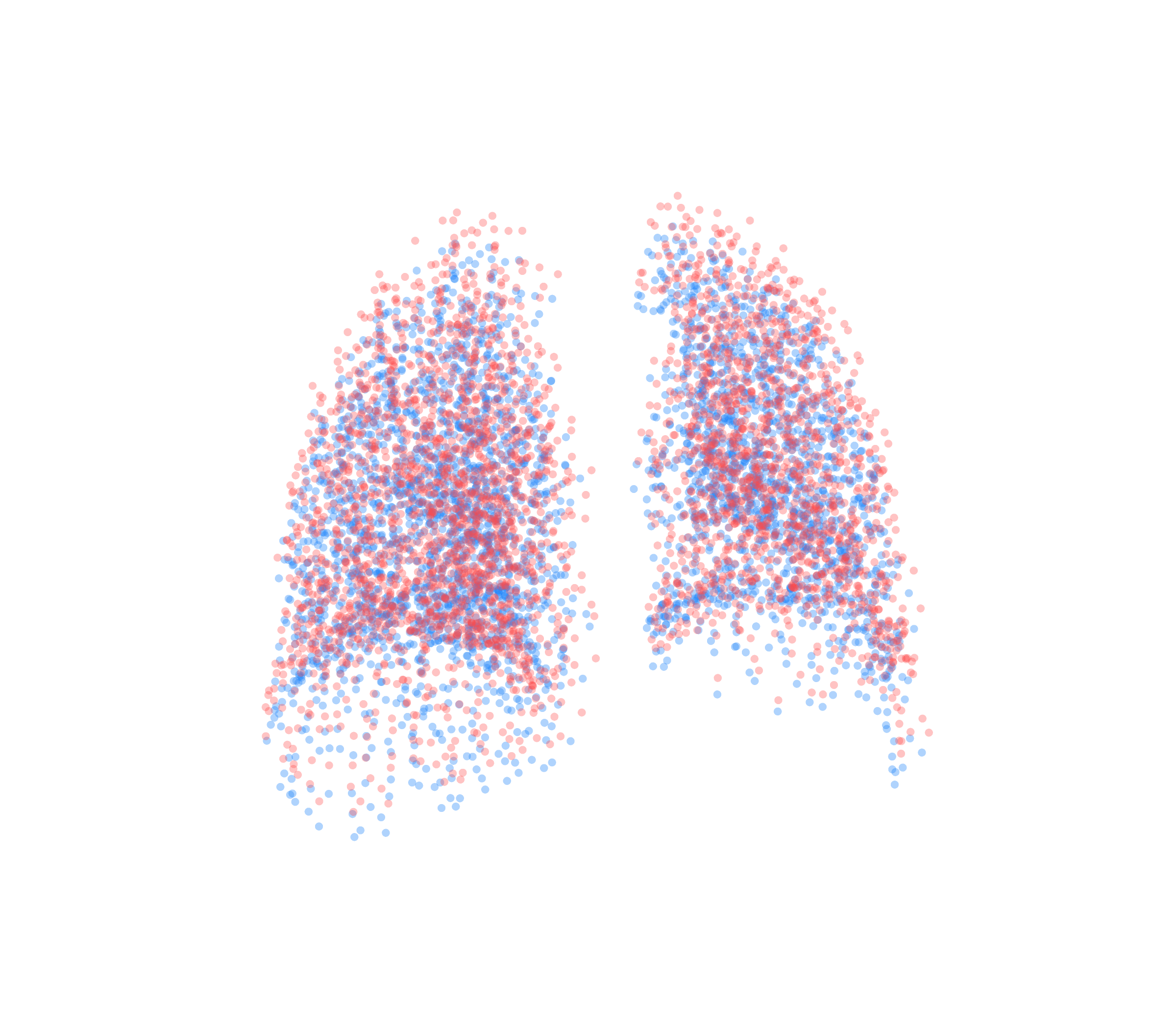 Point Cloud - Back View
