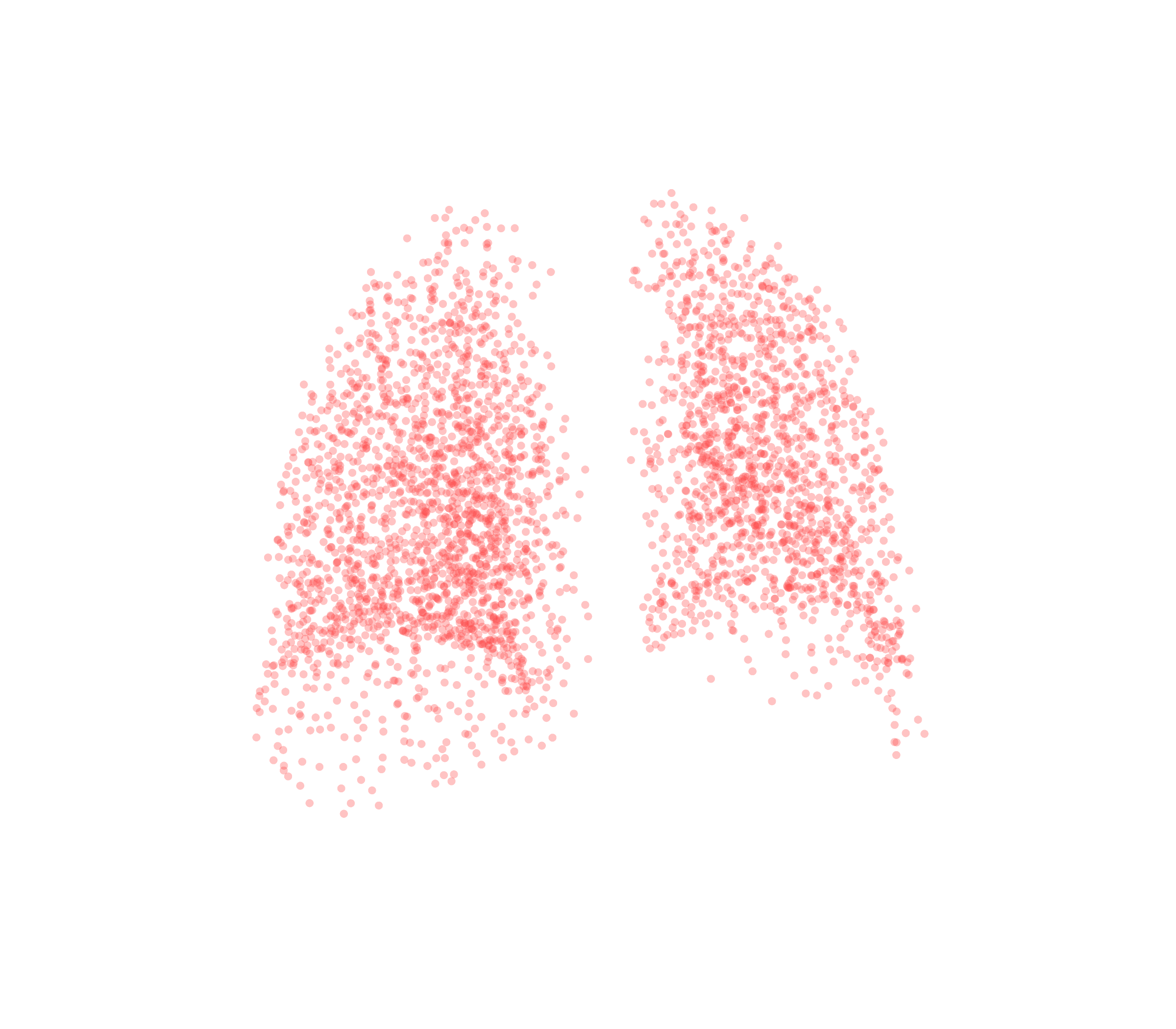 Point Cloud (Expiration) - Back View