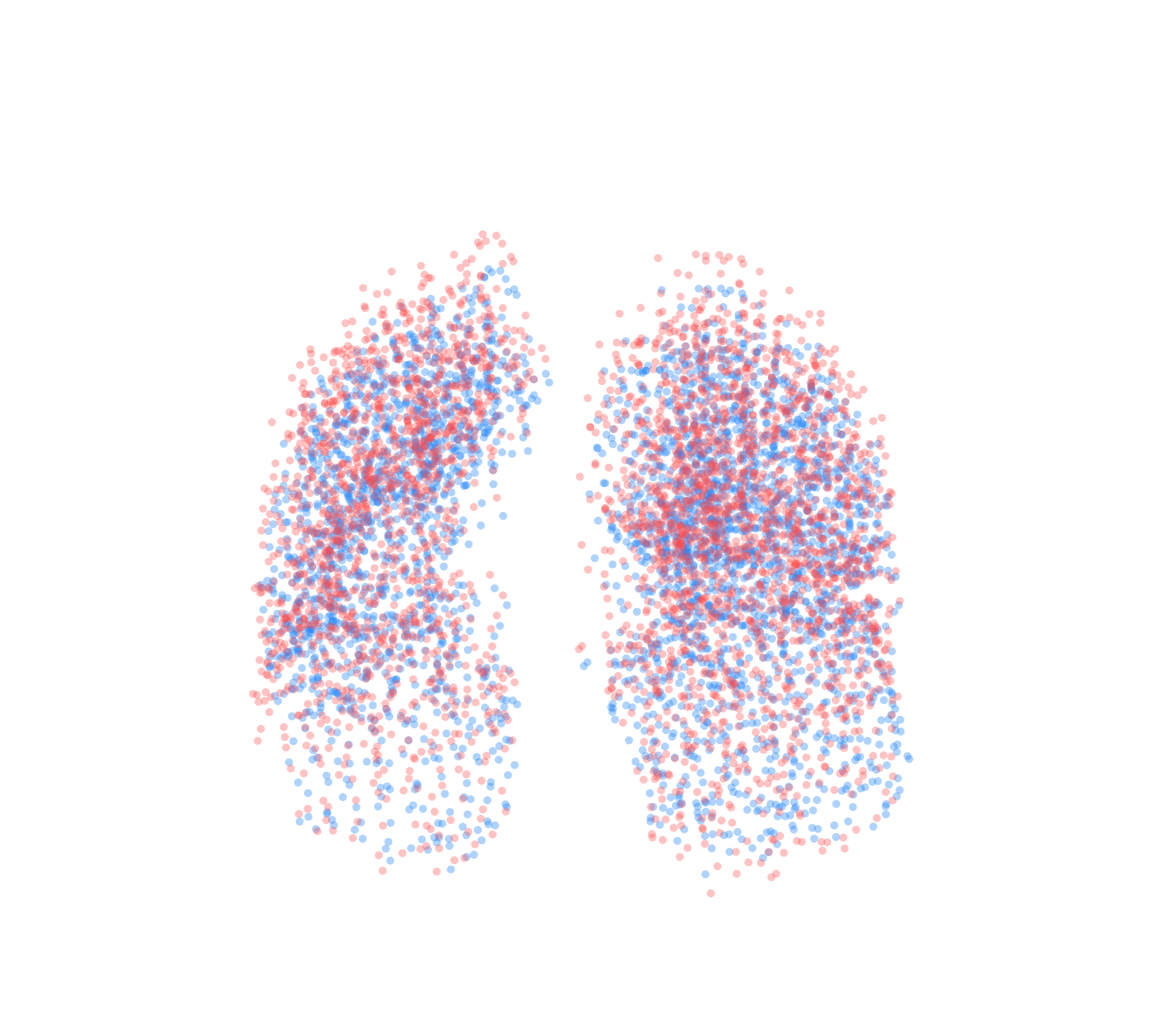 Point Cloud - Front View