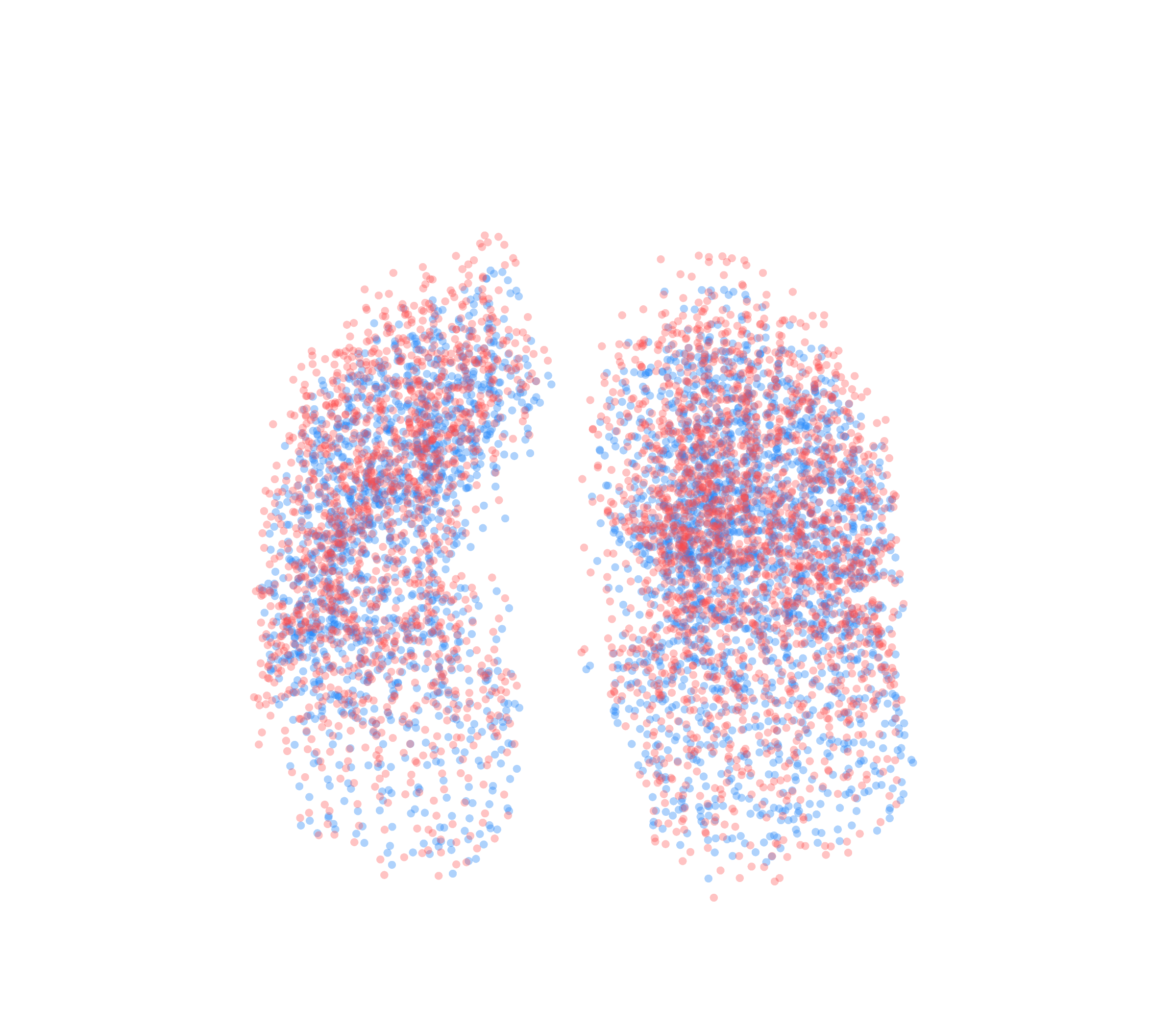 Point Cloud - Front View