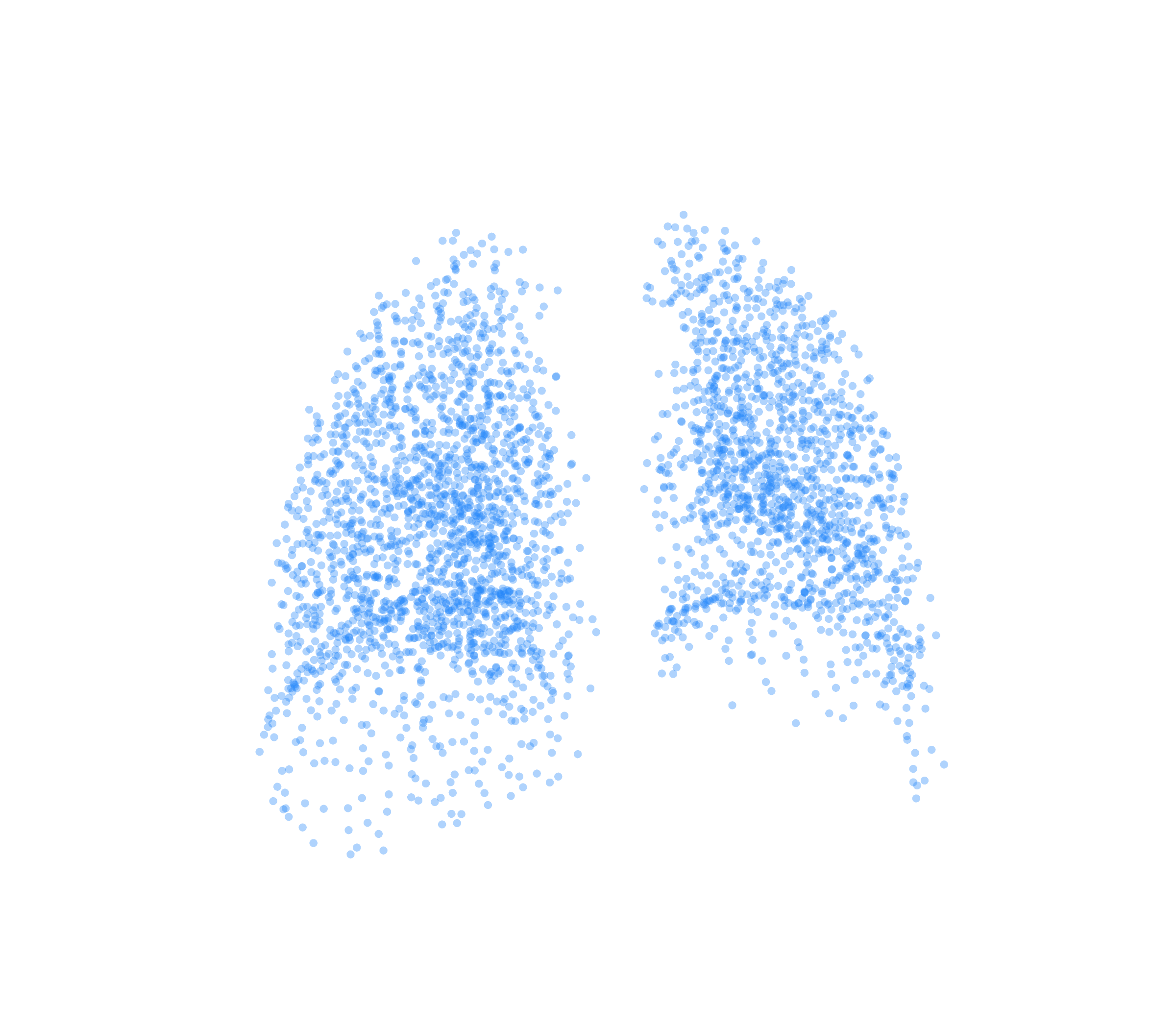 Point Cloud (Inspiration) - Back View