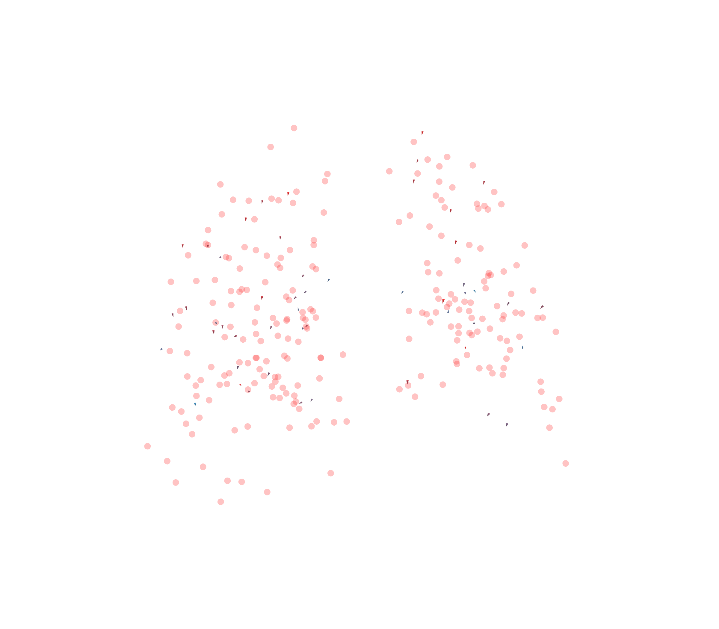 Displacement Vectors - Back View