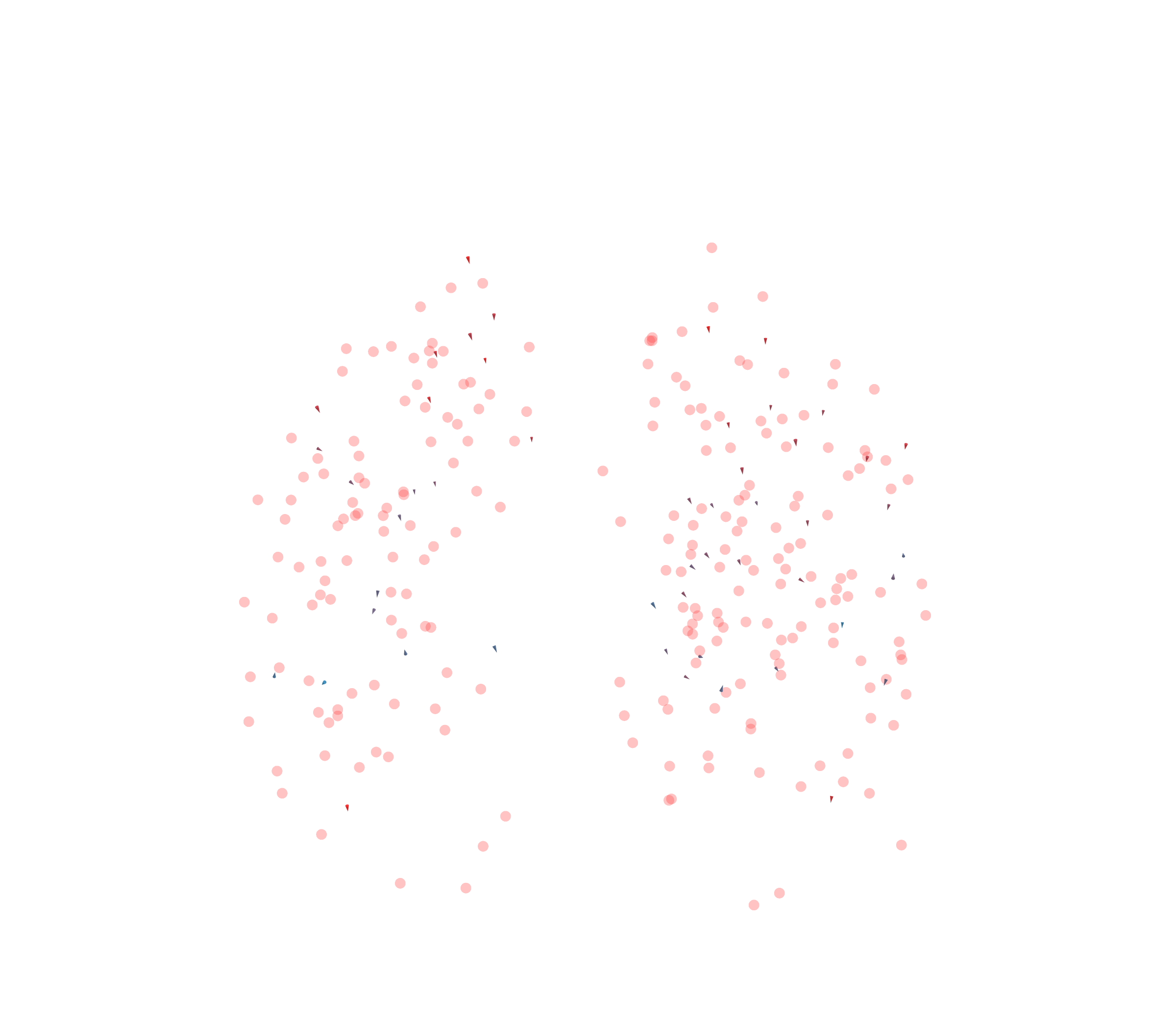 Displacement Vectors - Front View