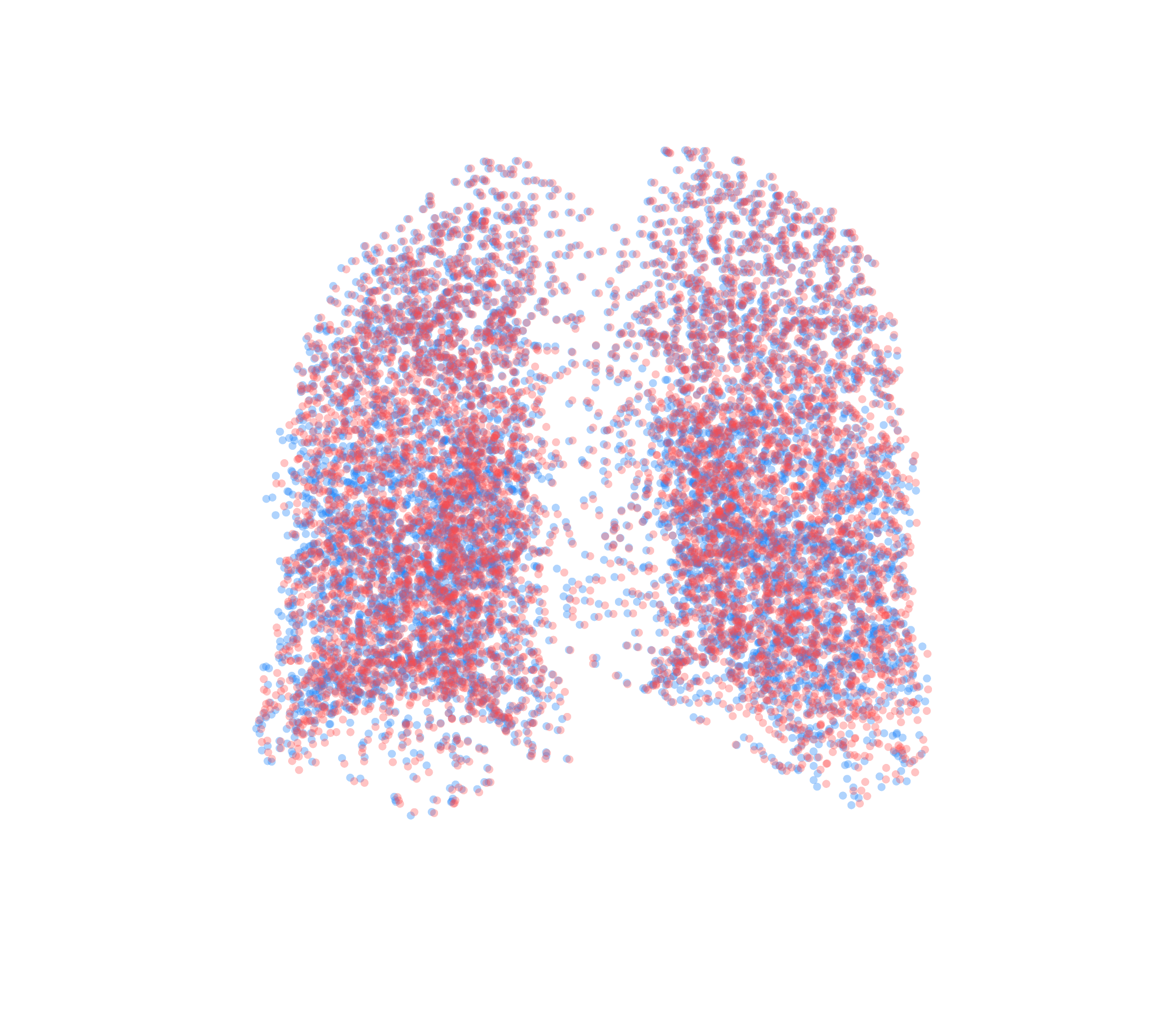 Point Cloud - Back View