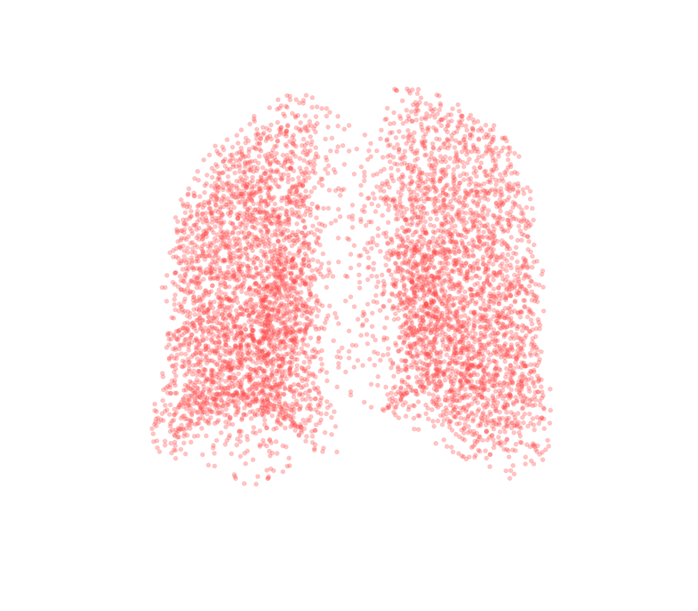 Point Cloud (Expiration) - Back View