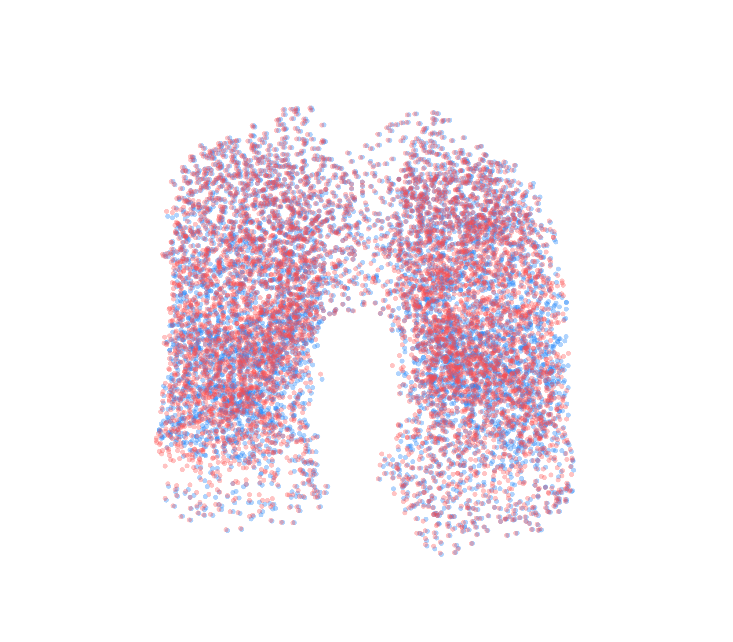 Point Cloud - Front View