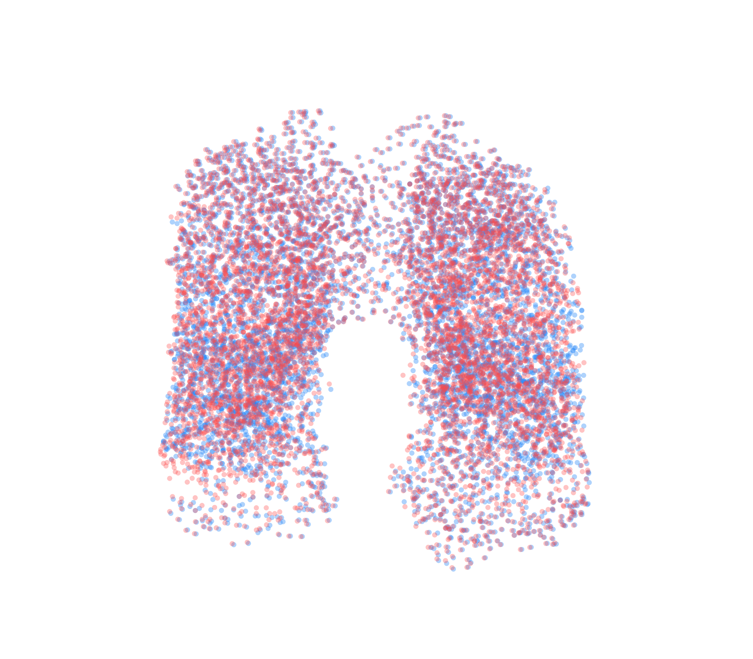 Point Cloud - Front View