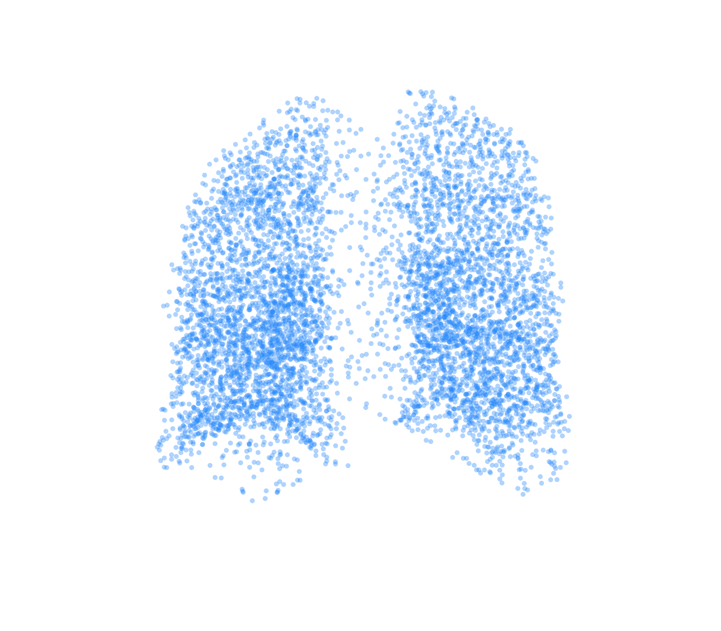 Point Cloud (Inspiration) - Back View