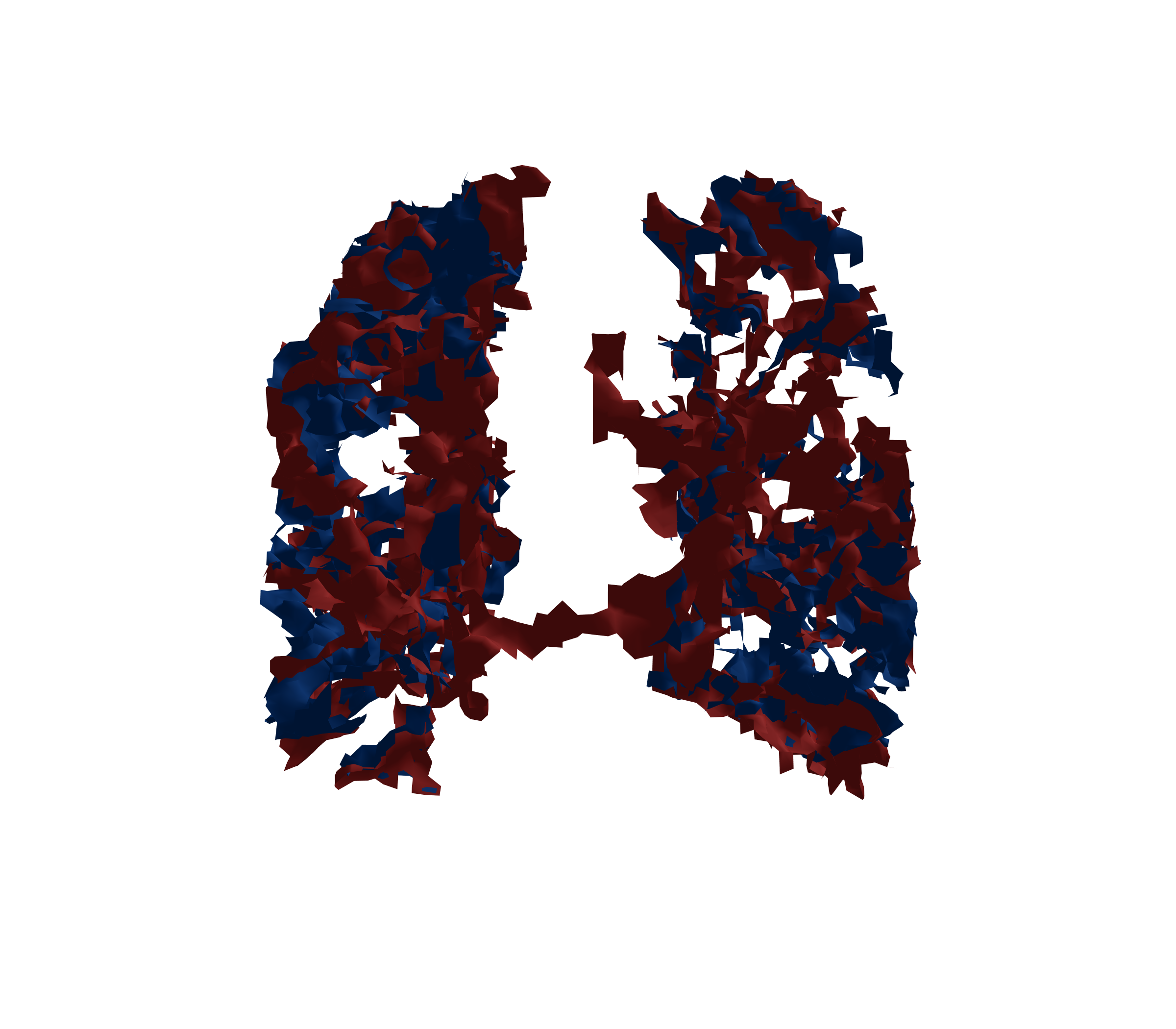 Surface Mesh - Back View