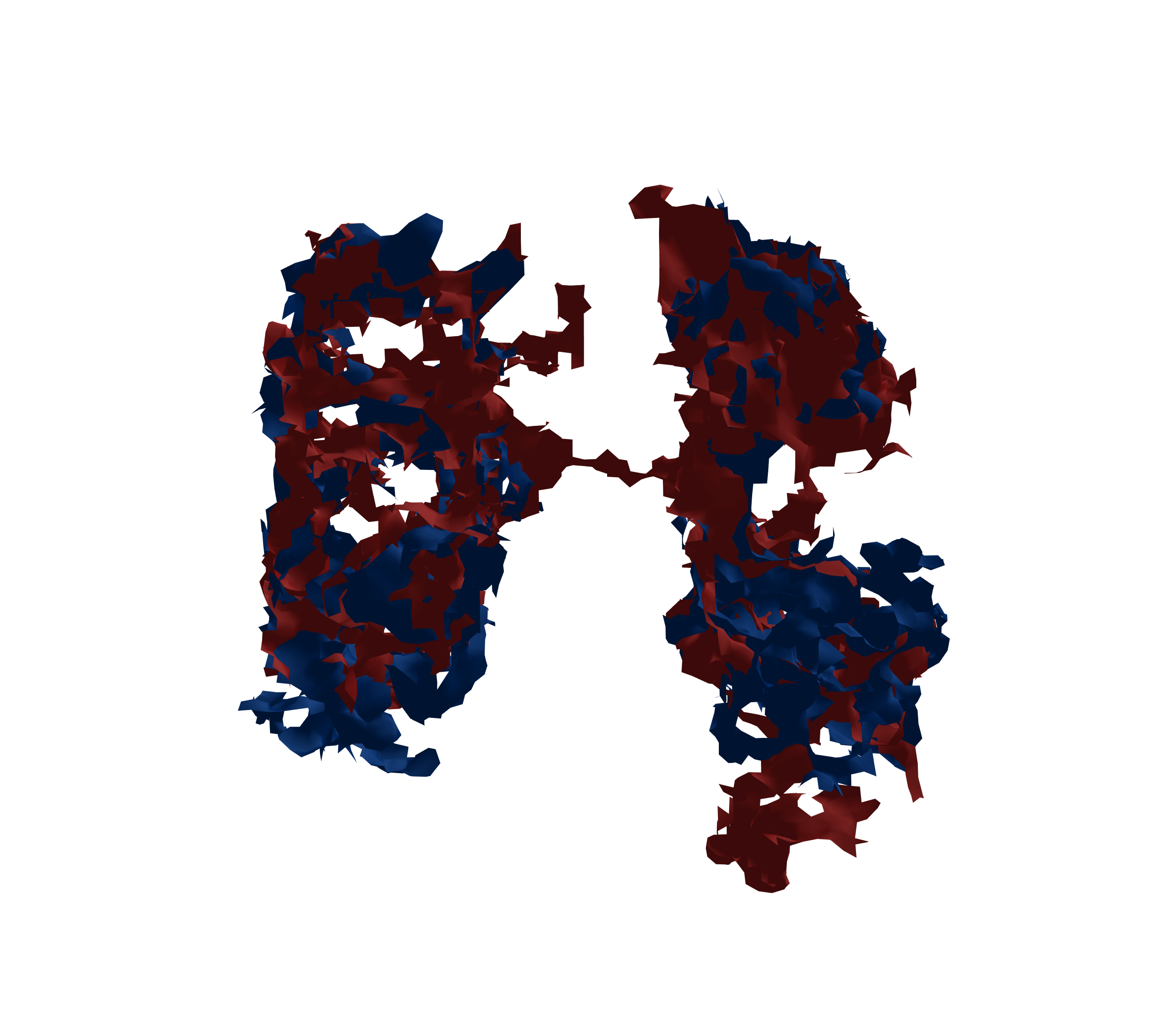 Surface Mesh - Front View