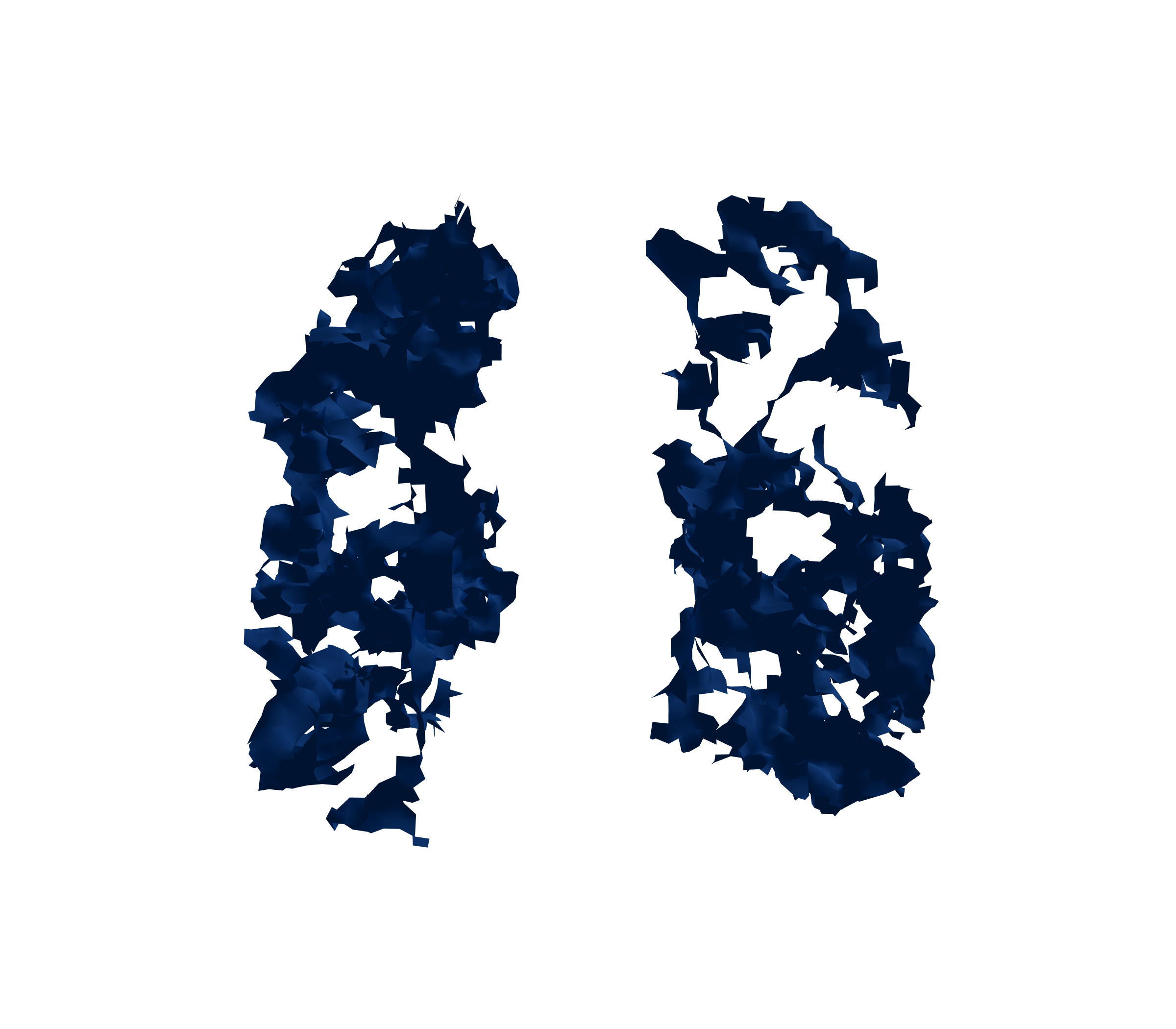 Surface Mesh (Inspiration) - Back View