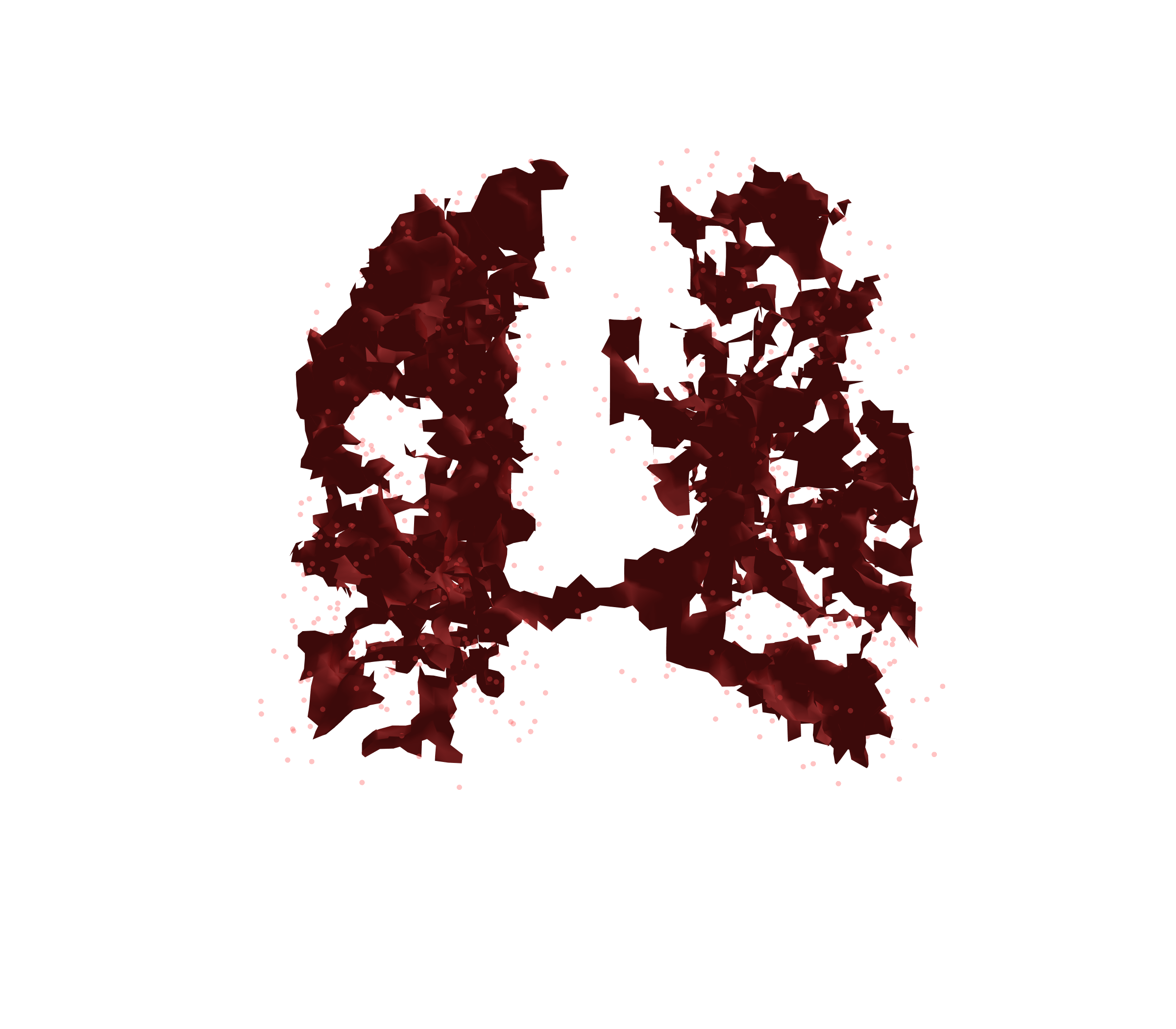 Combined Visualization (Expiration) - Back View