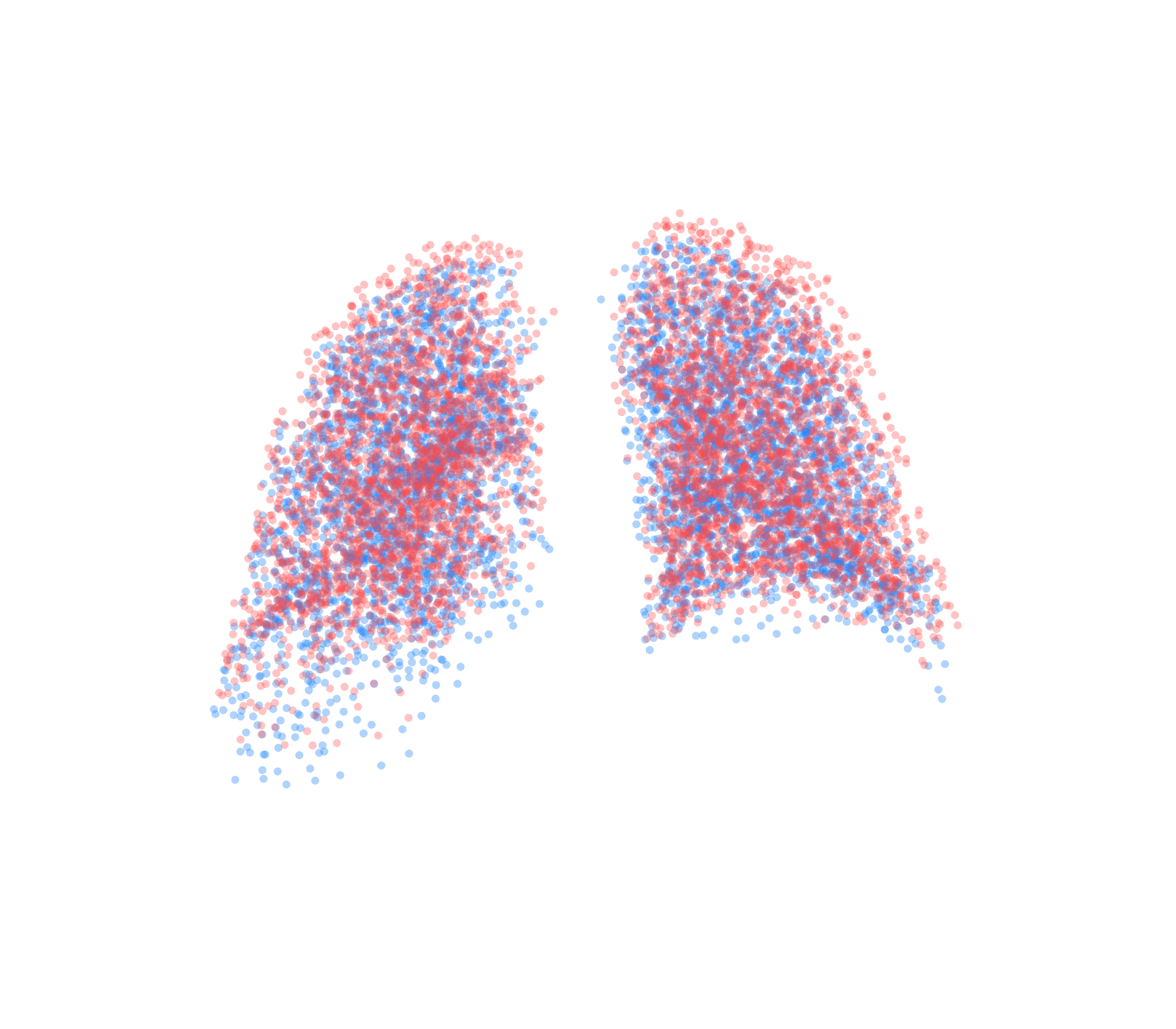 Point Cloud - Back View