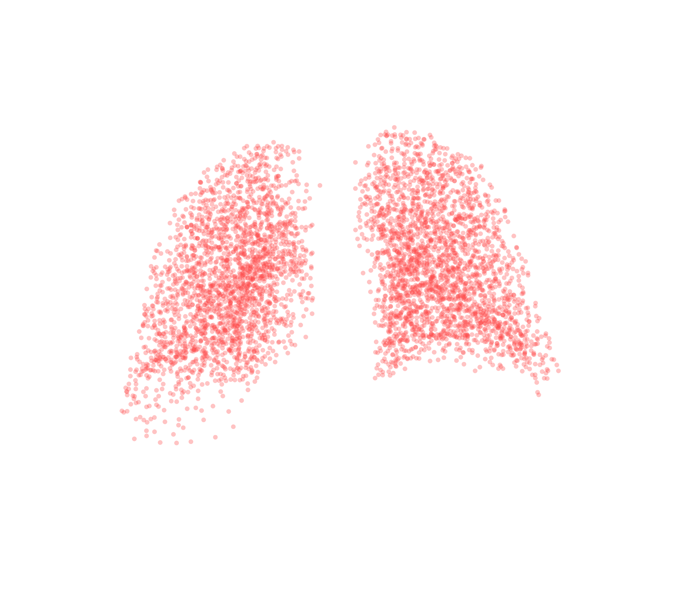 Point Cloud (Expiration) - Back View