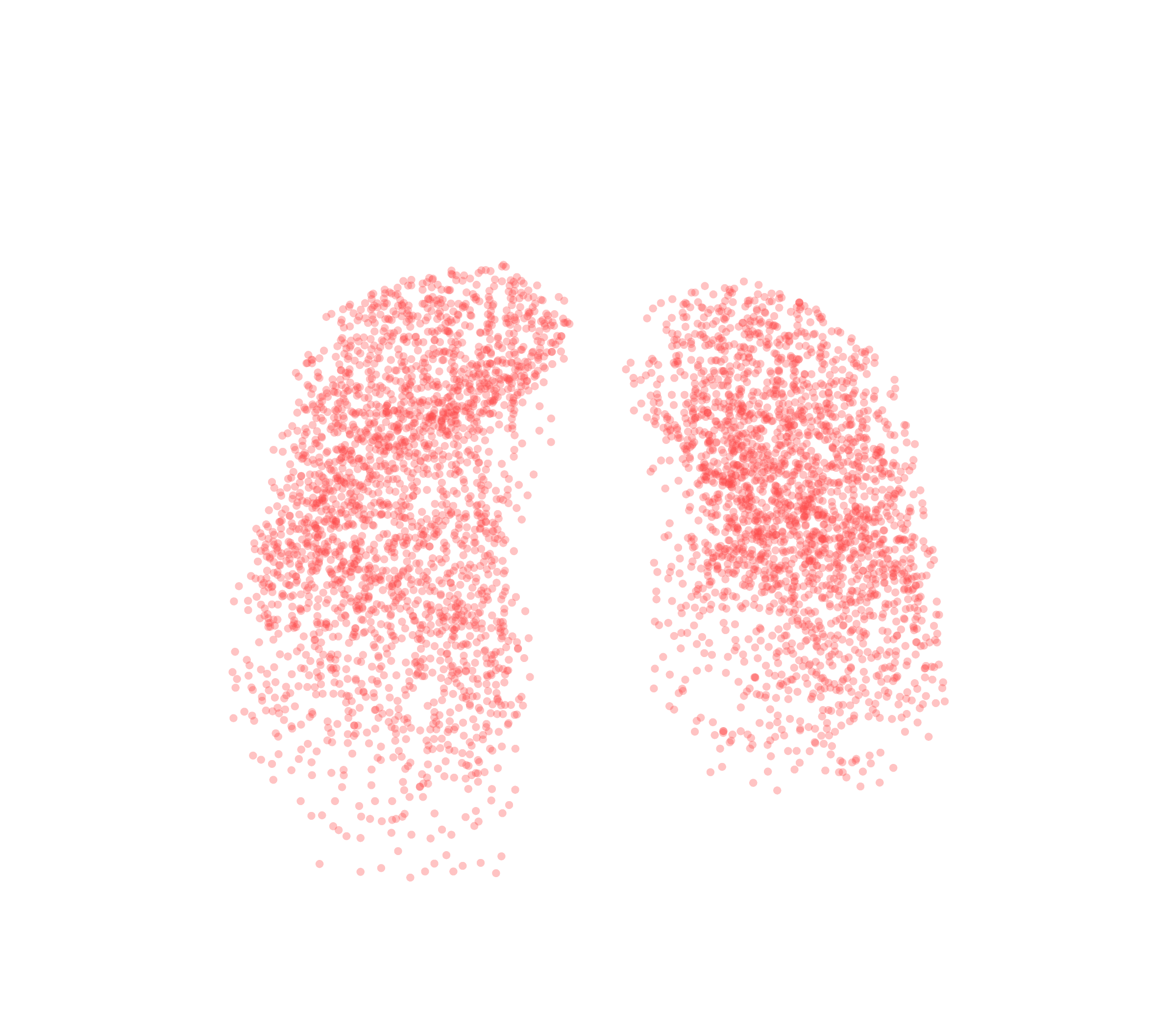 Point Cloud (Expiration) - Front View