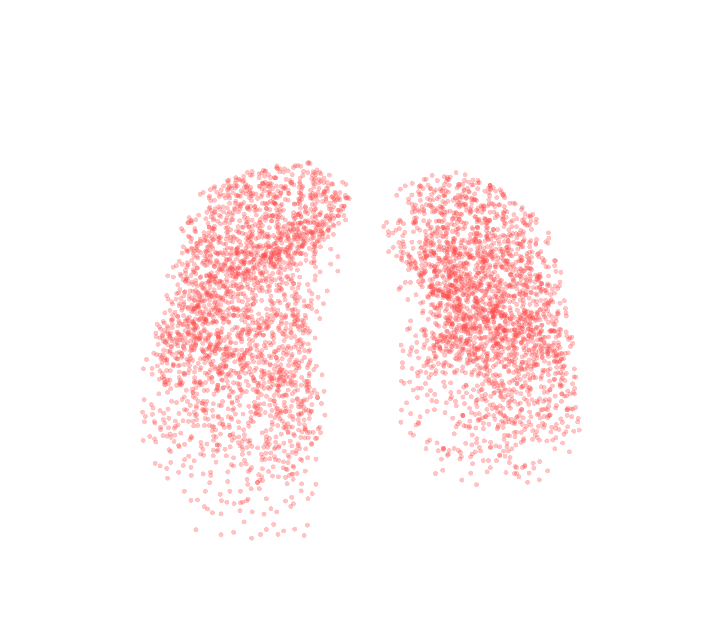 Point Cloud (Expiration) - Front View