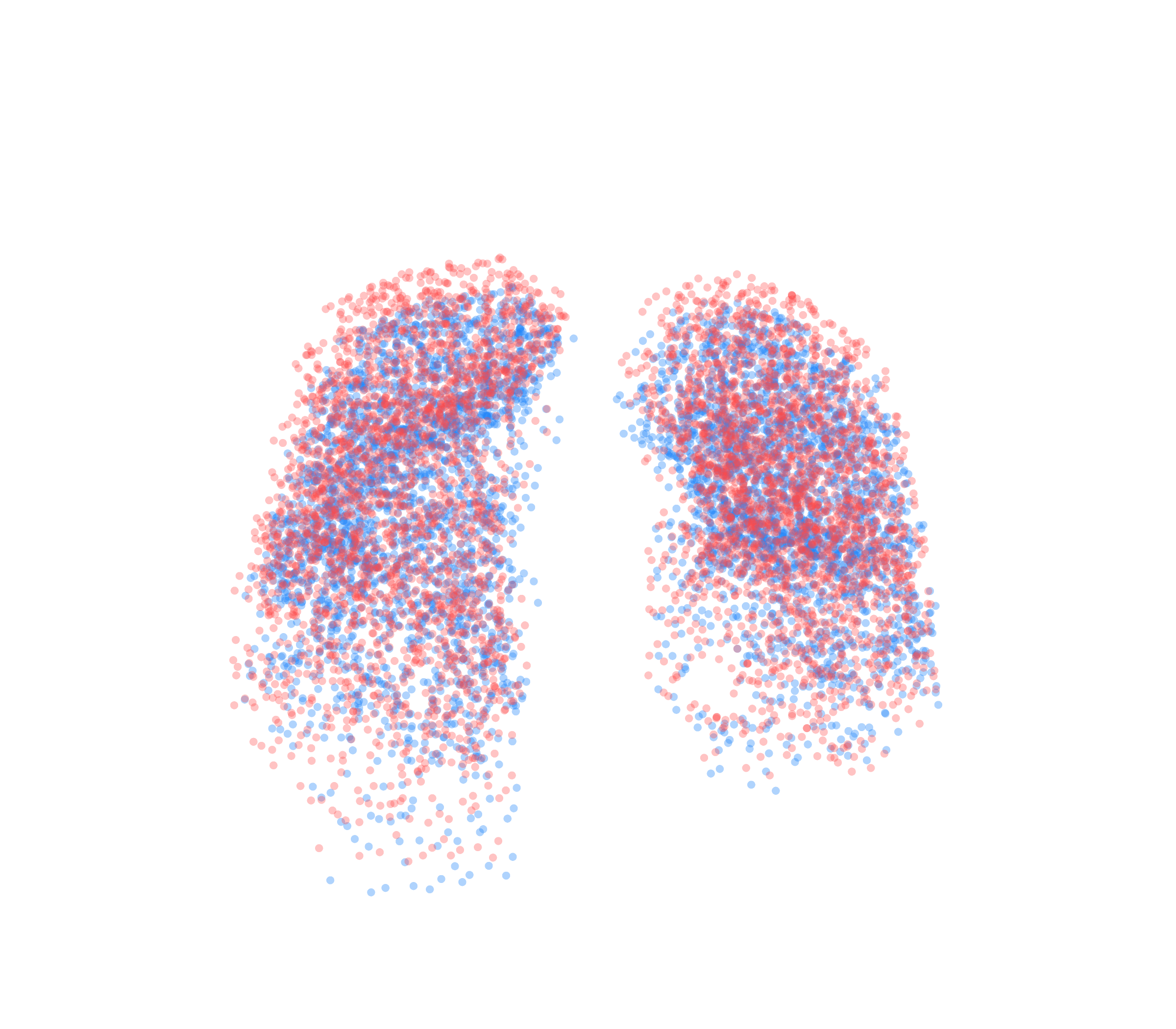 Point Cloud - Front View