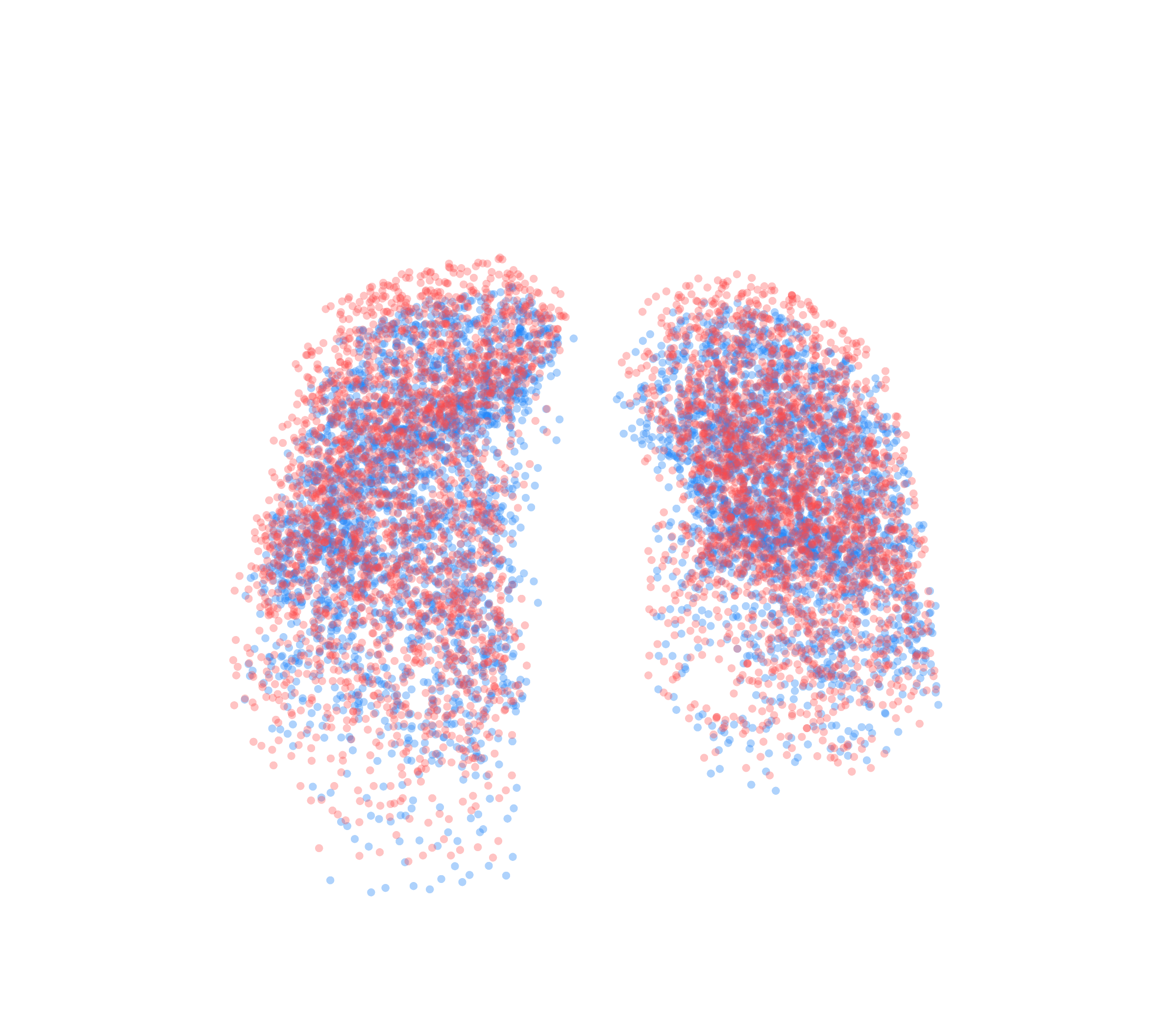 Point Cloud - Front View