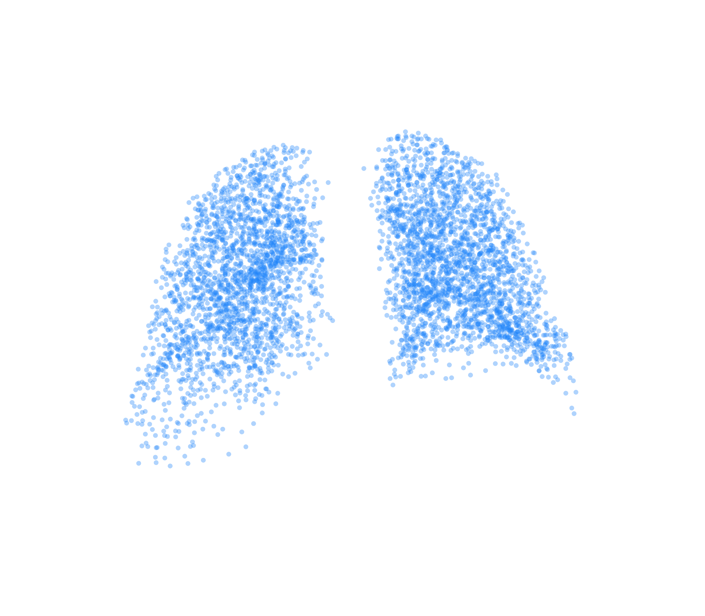 Point Cloud (Inspiration) - Back View