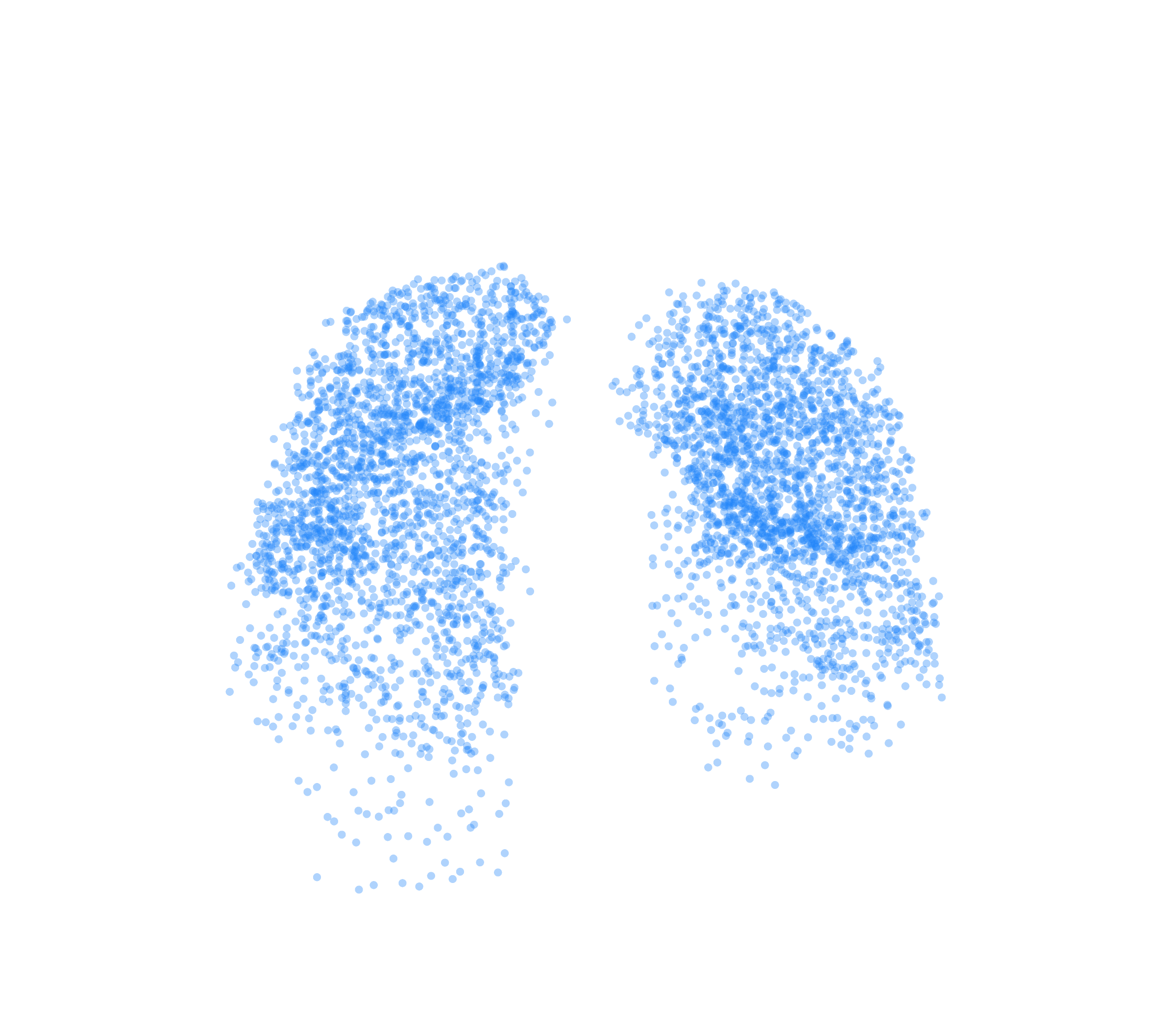 Point Cloud (Inspiration) - Front View