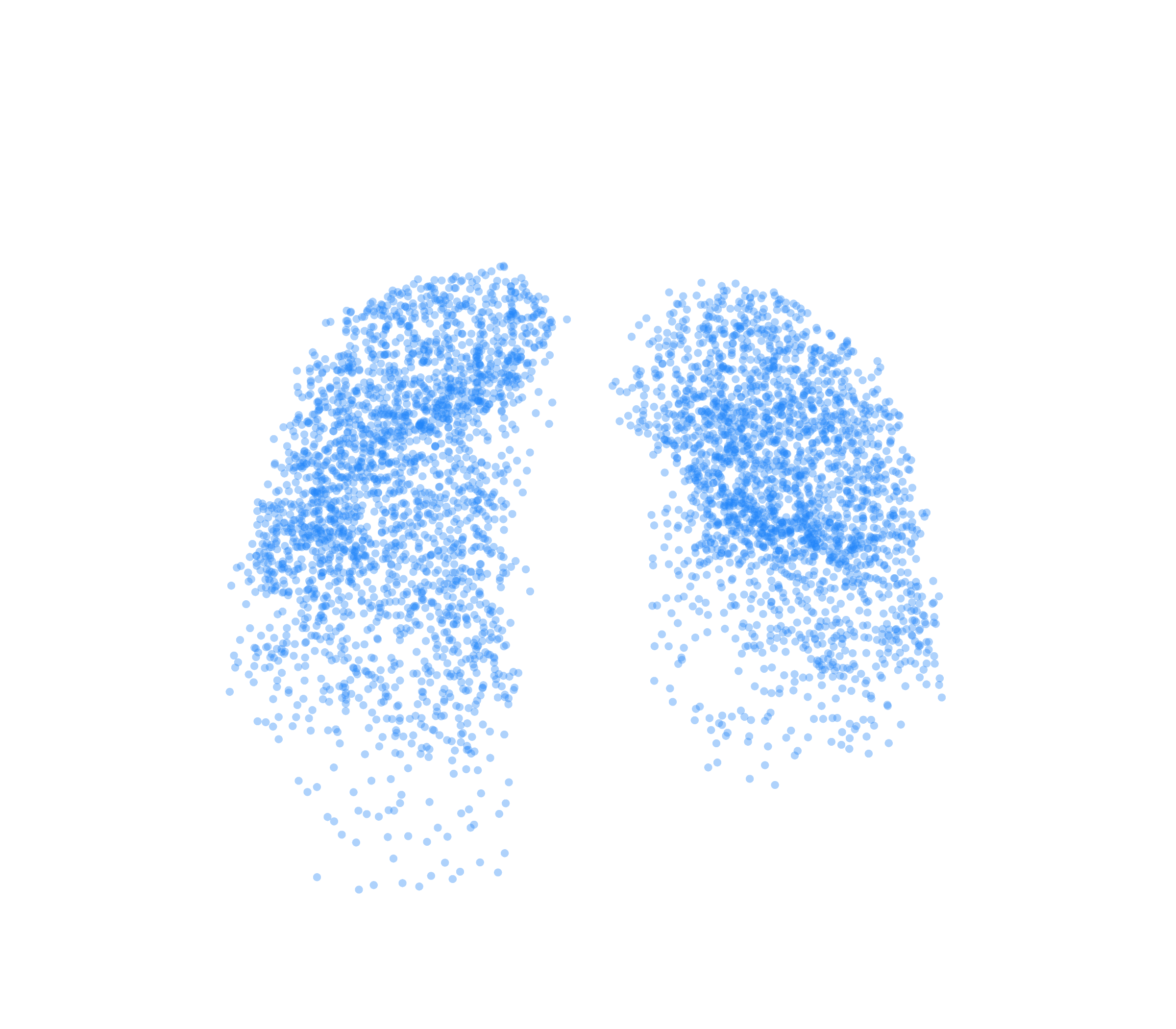 Point Cloud (Inspiration) - Front View