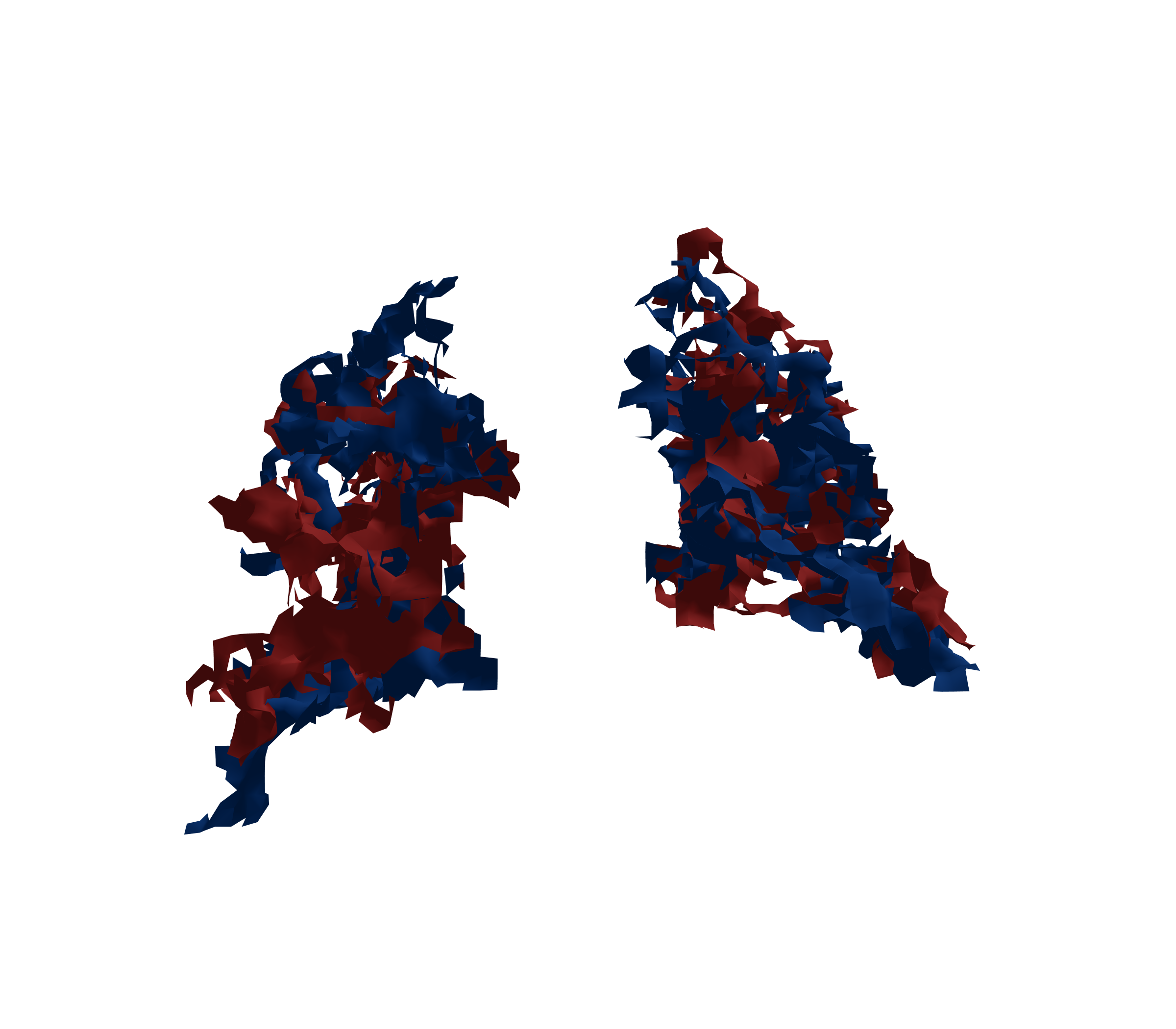 Surface Mesh - Back View