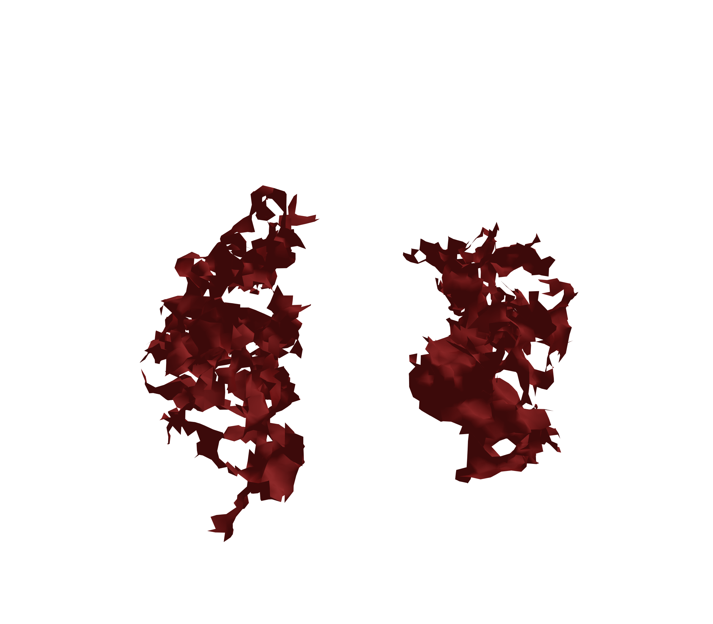 Surface Mesh (Expiration) - Front View