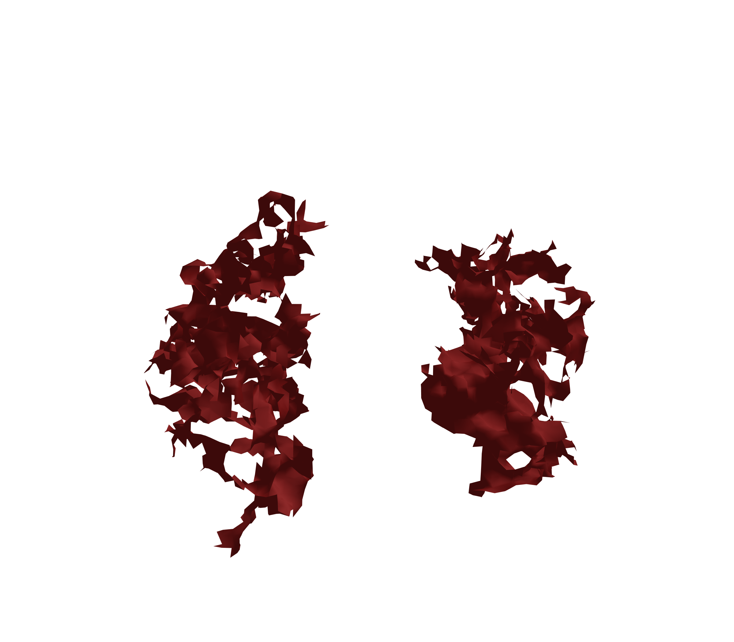 Surface Mesh (Expiration) - Front View