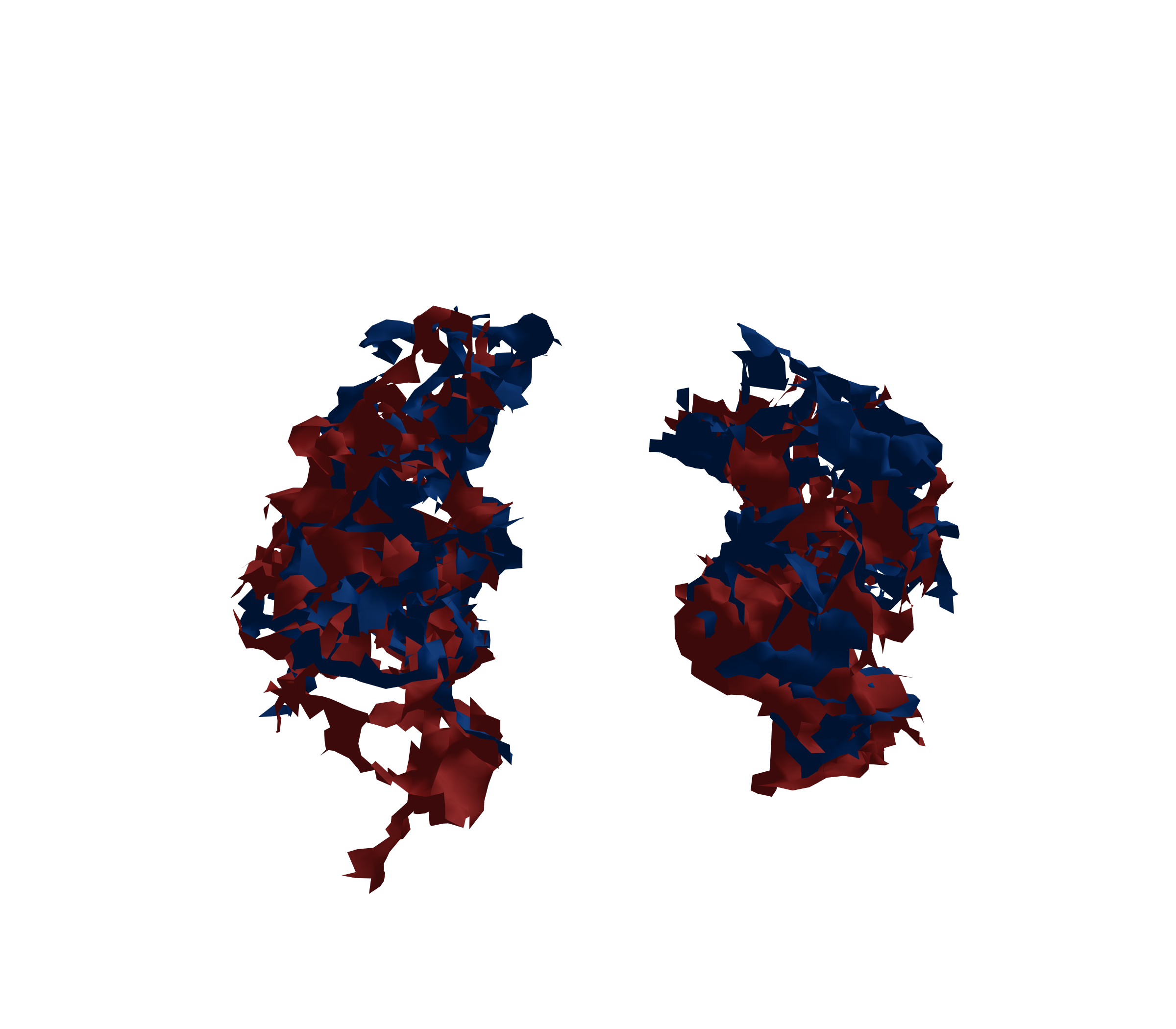 Surface Mesh - Front View