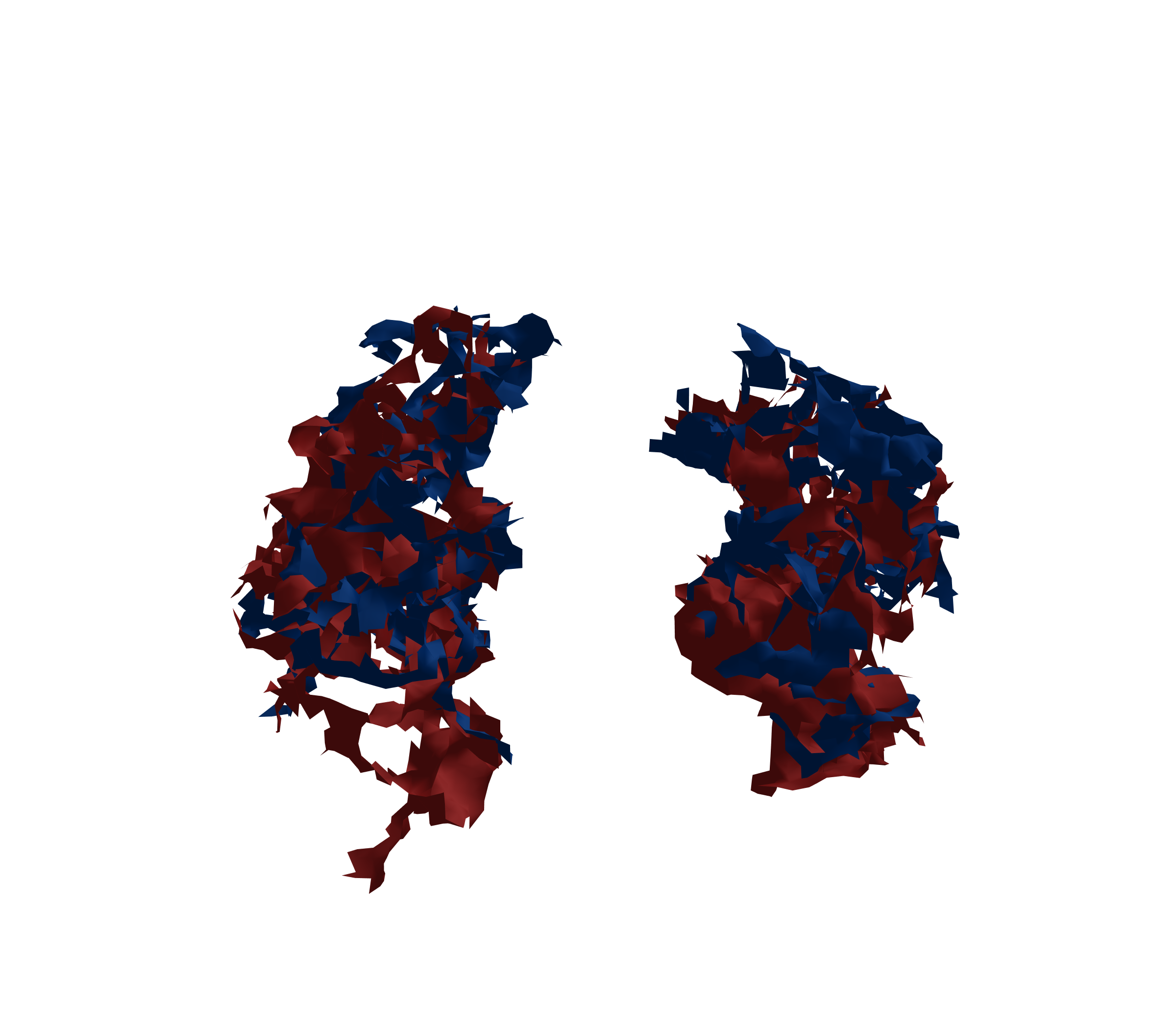 Surface Mesh - Front View