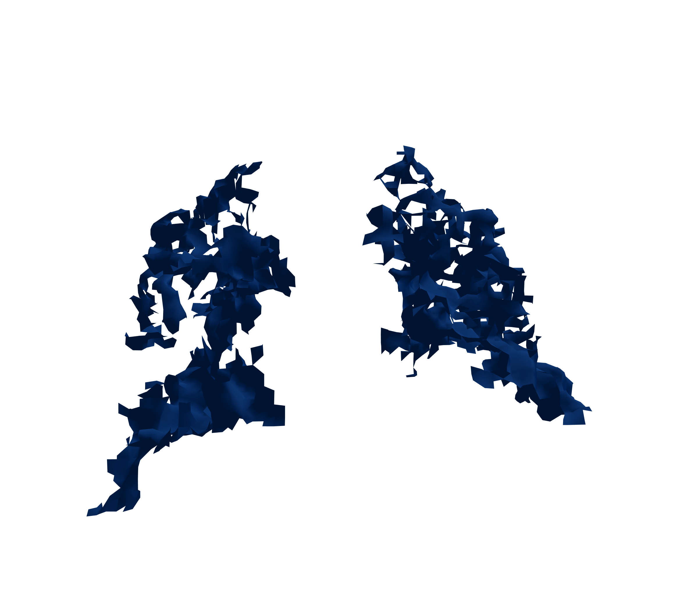 Surface Mesh (Inspiration) - Back View