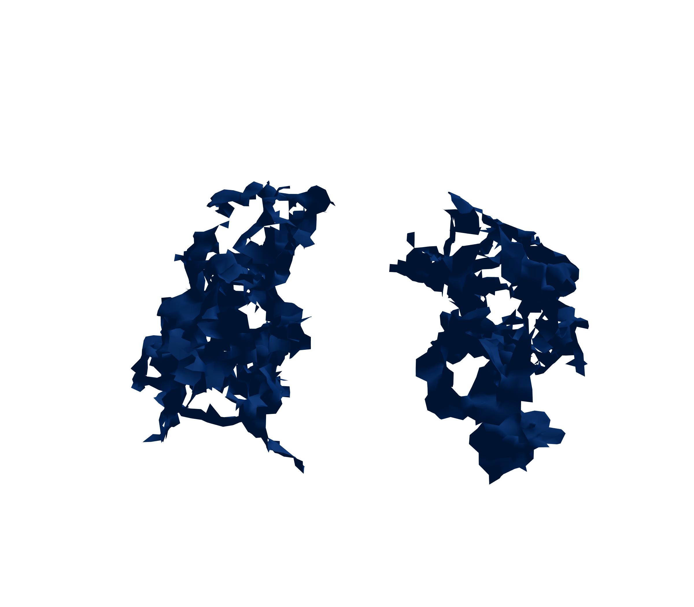 Surface Mesh (Inspiration) - Front View