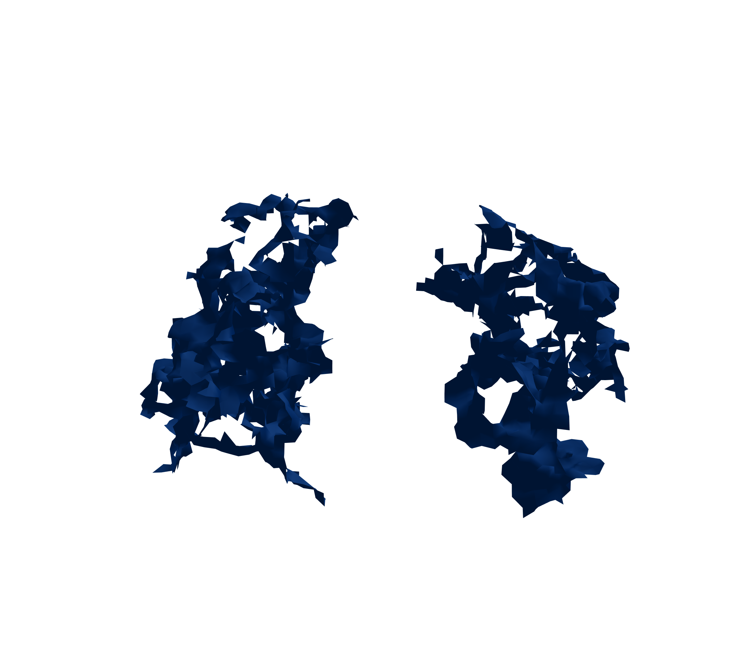 Surface Mesh (Inspiration) - Front View