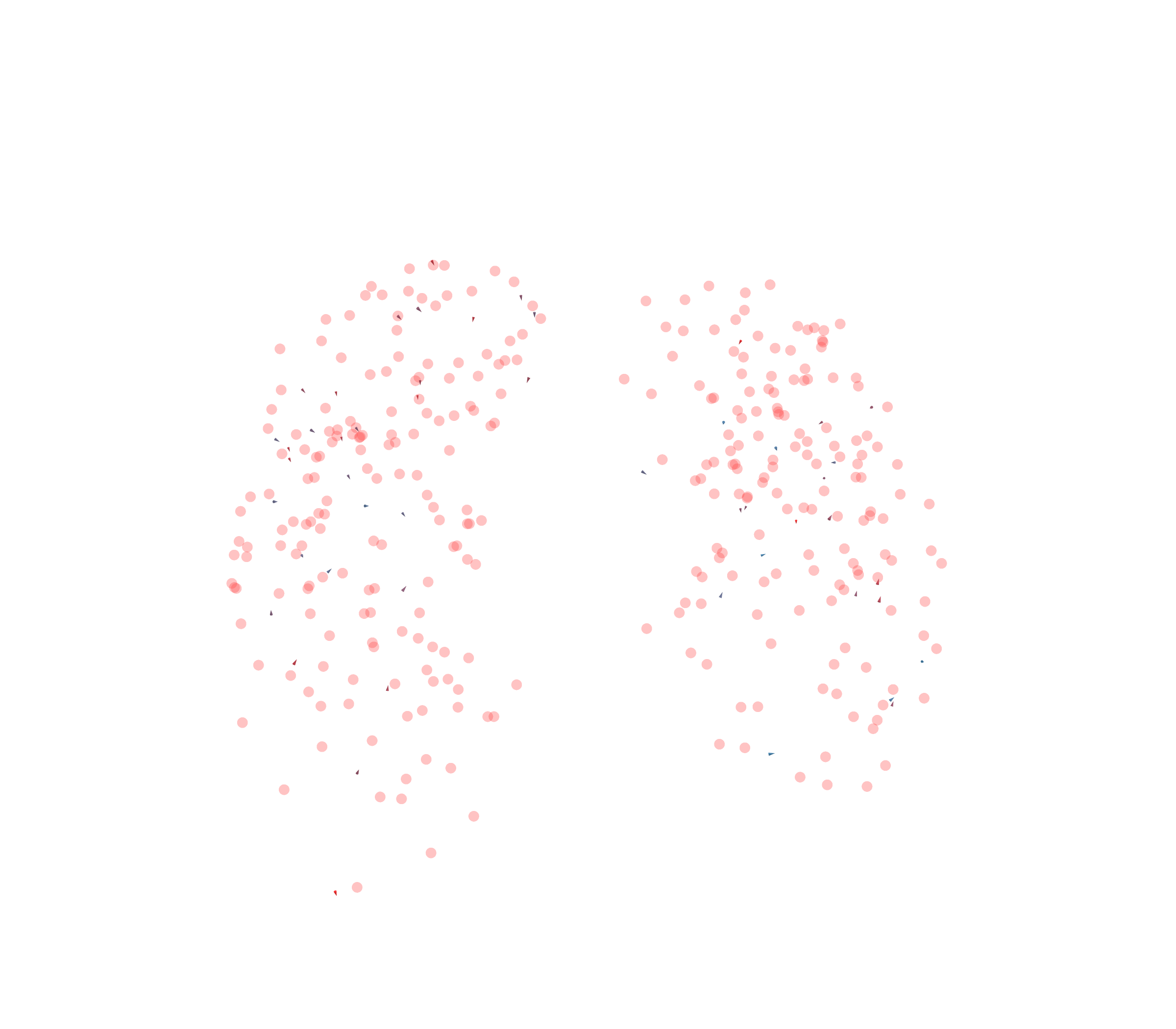 Displacement Vectors - Front View
