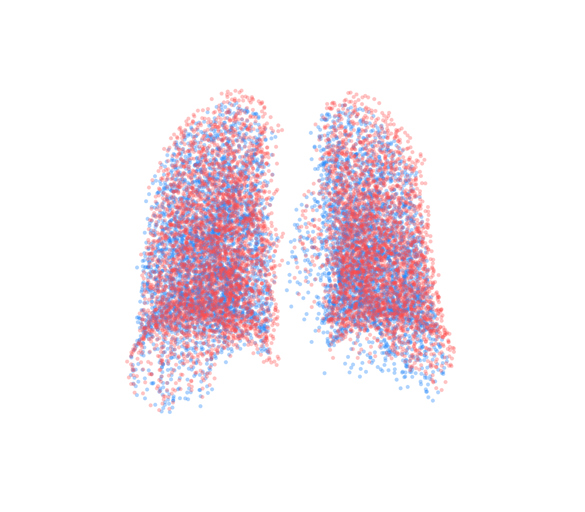 Point Cloud - Back View