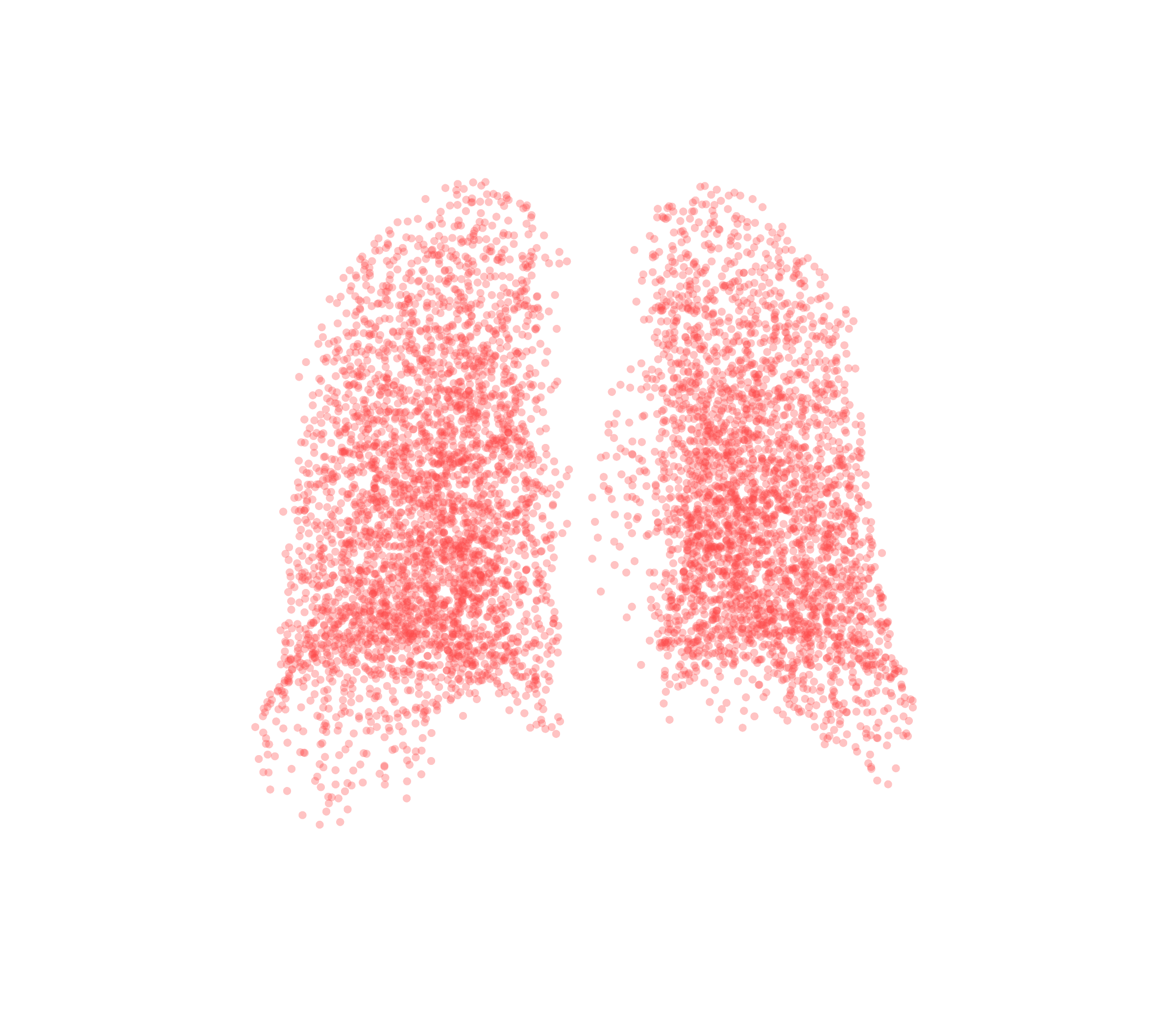 Point Cloud (Expiration) - Back View