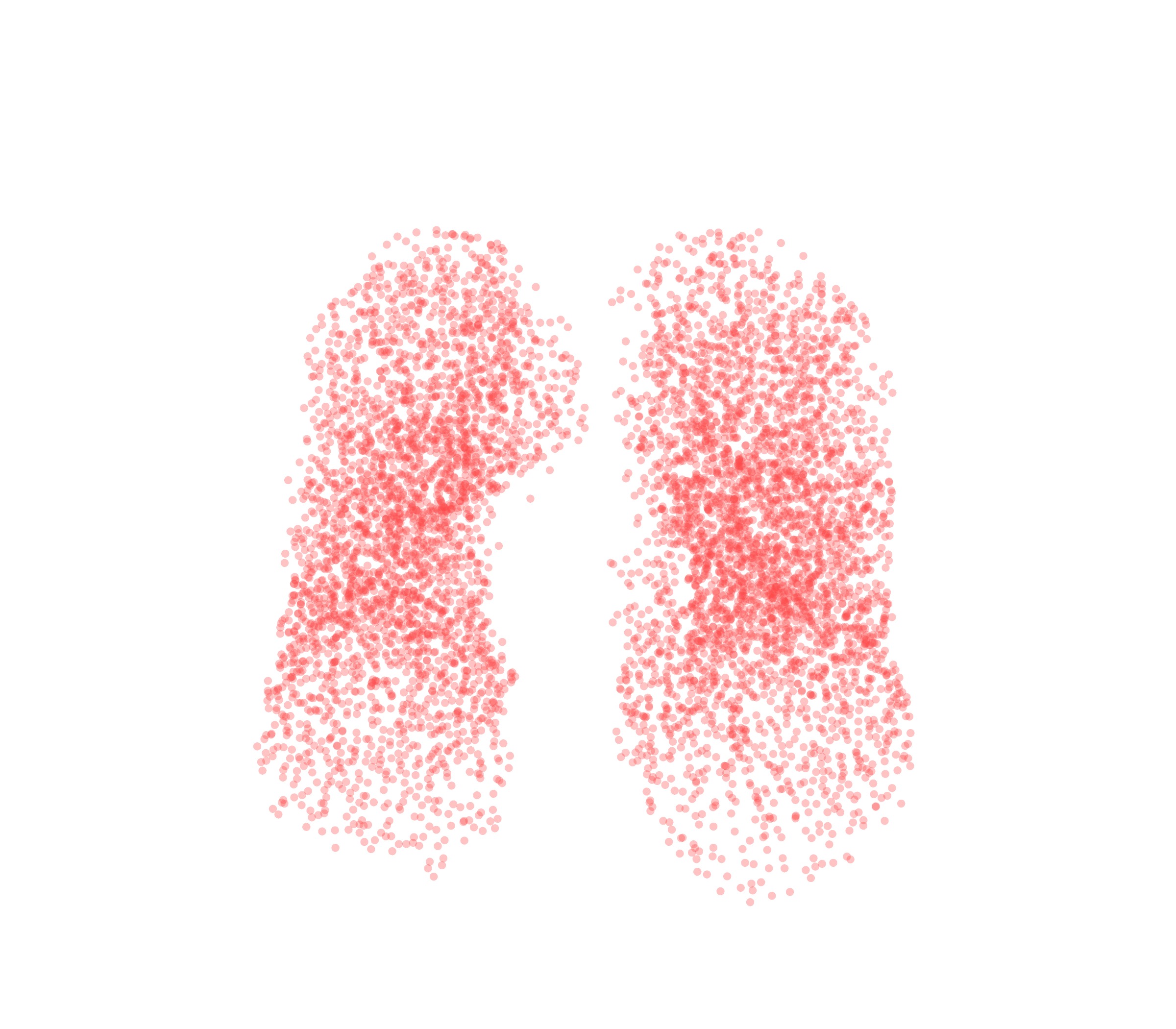 Point Cloud (Expiration) - Front View