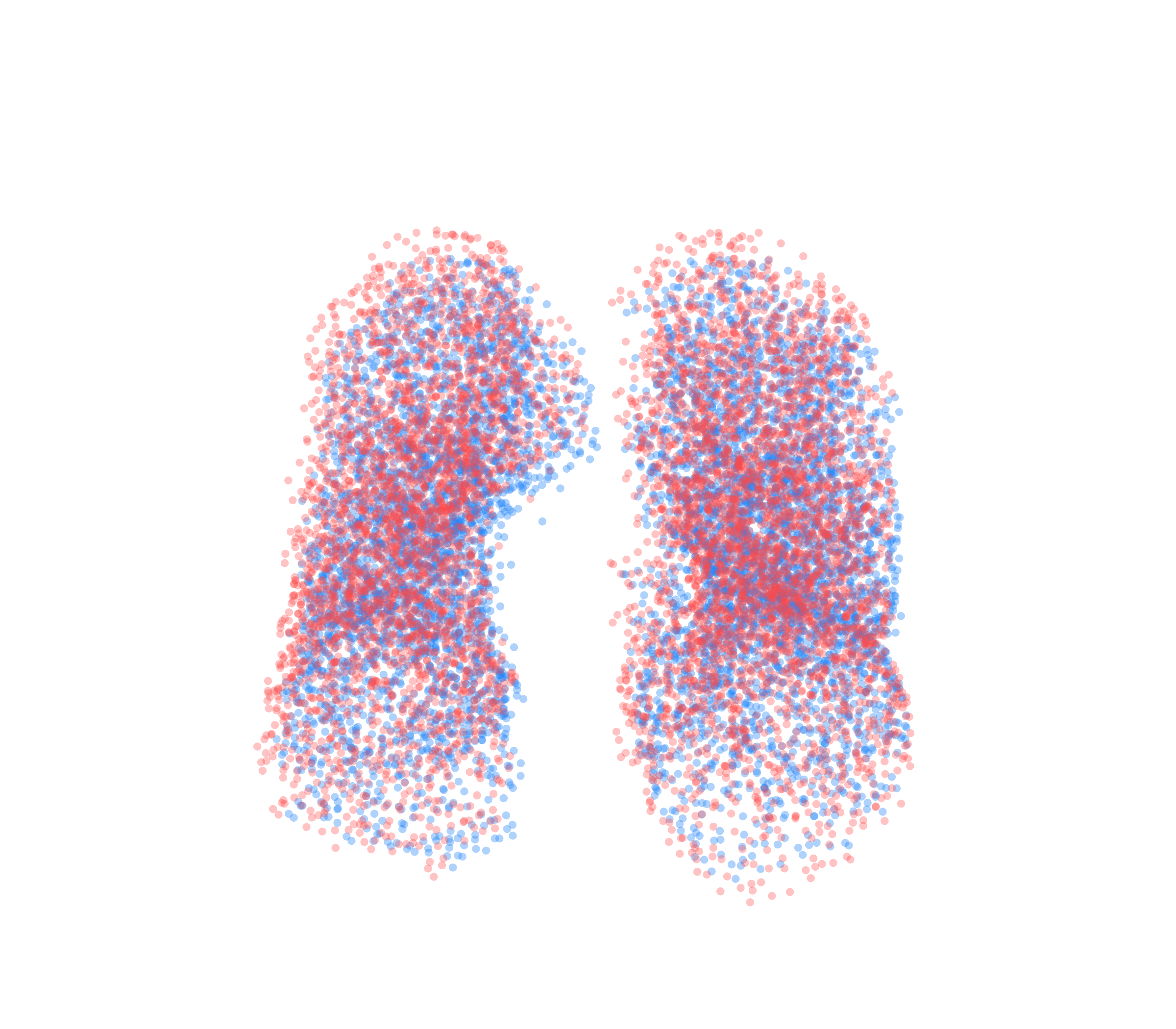 Point Cloud - Front View