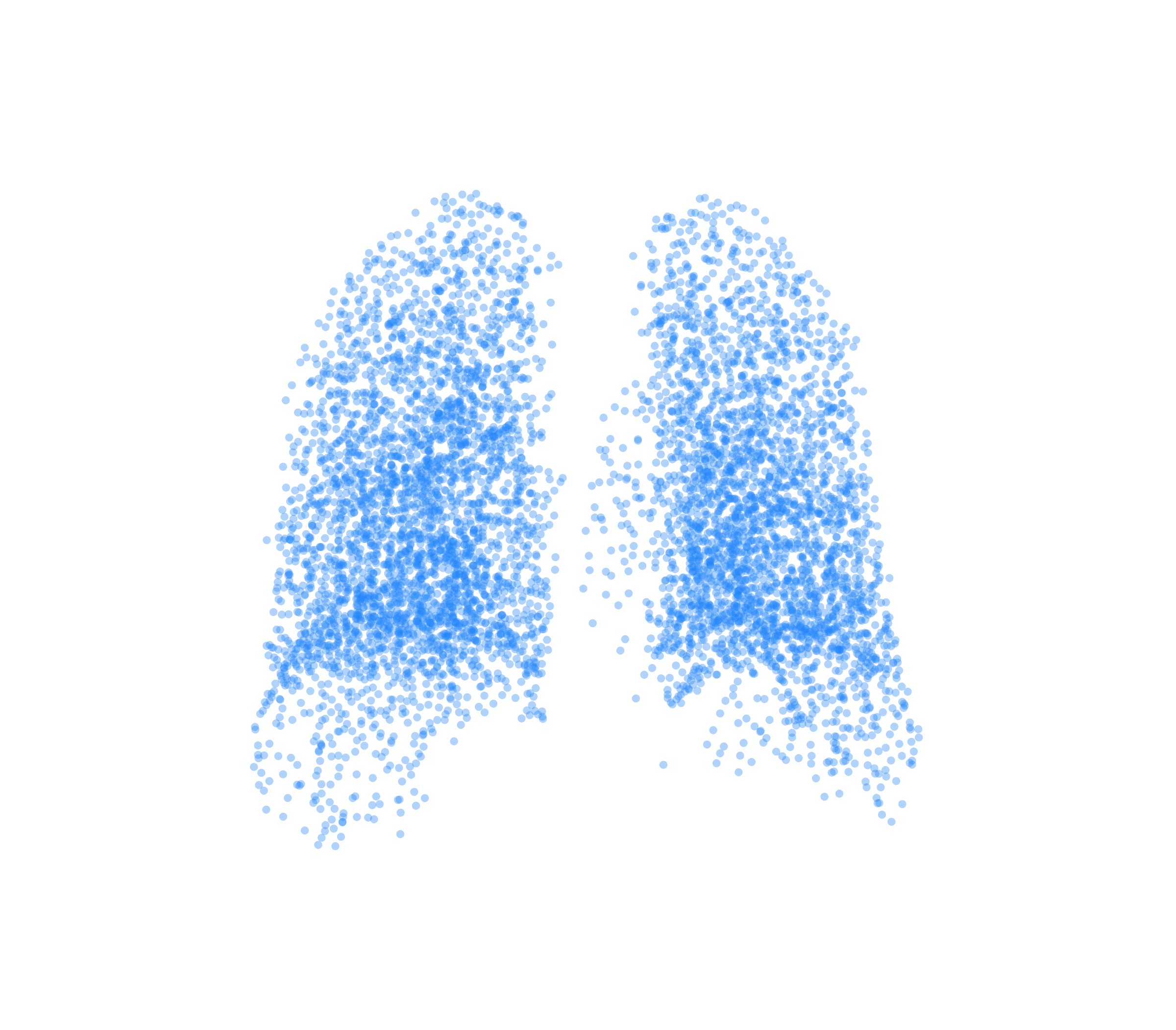 Point Cloud (Inspiration) - Back View