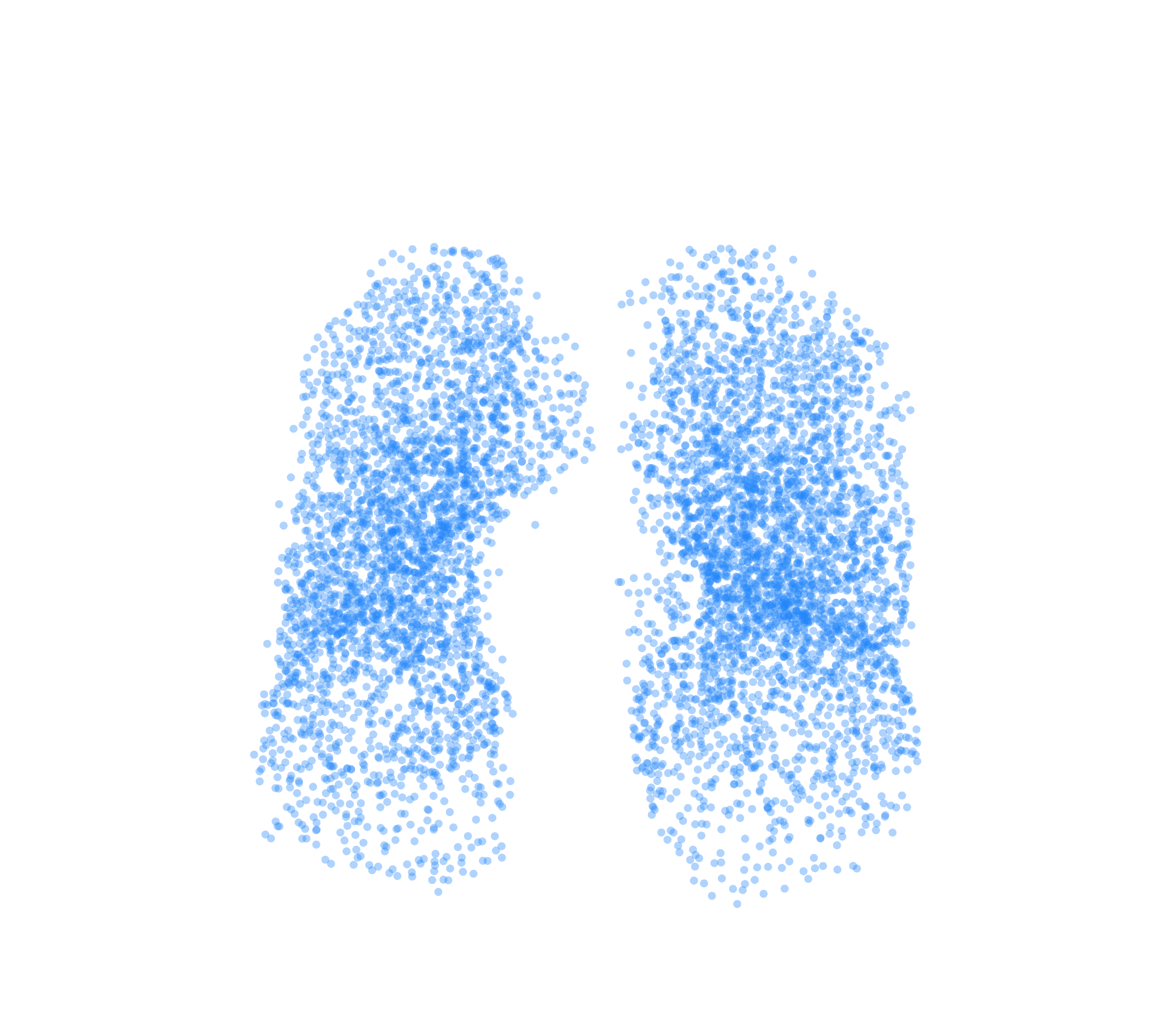 Point Cloud (Inspiration) - Front View
