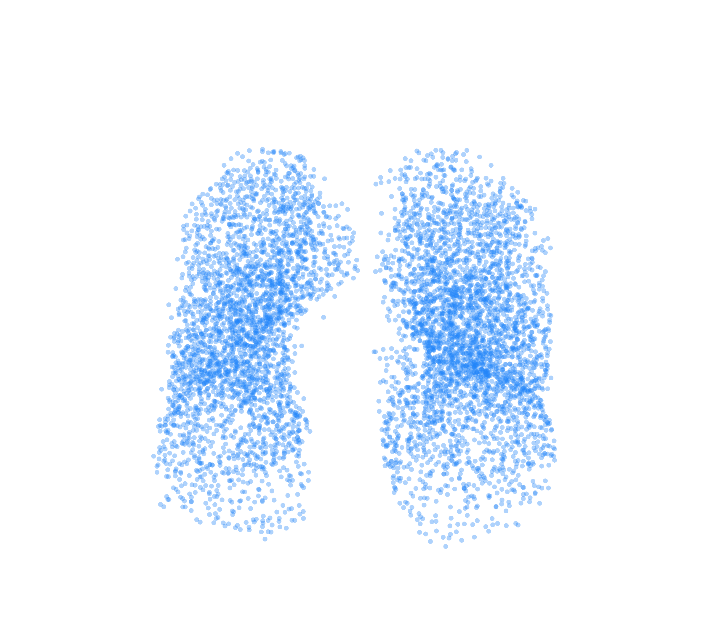 Point Cloud (Inspiration) - Front View