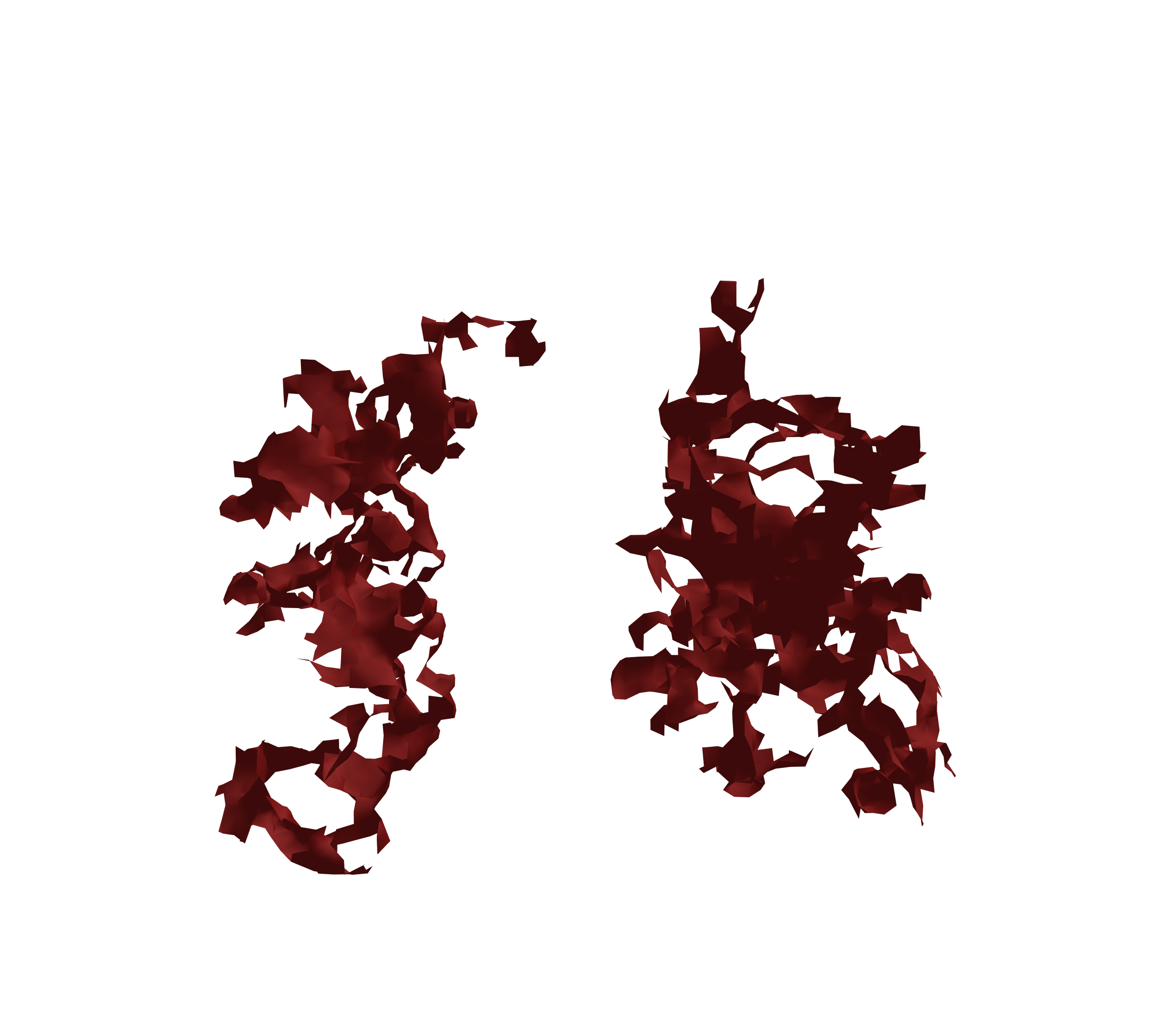 Surface Mesh (Expiration) - Front View